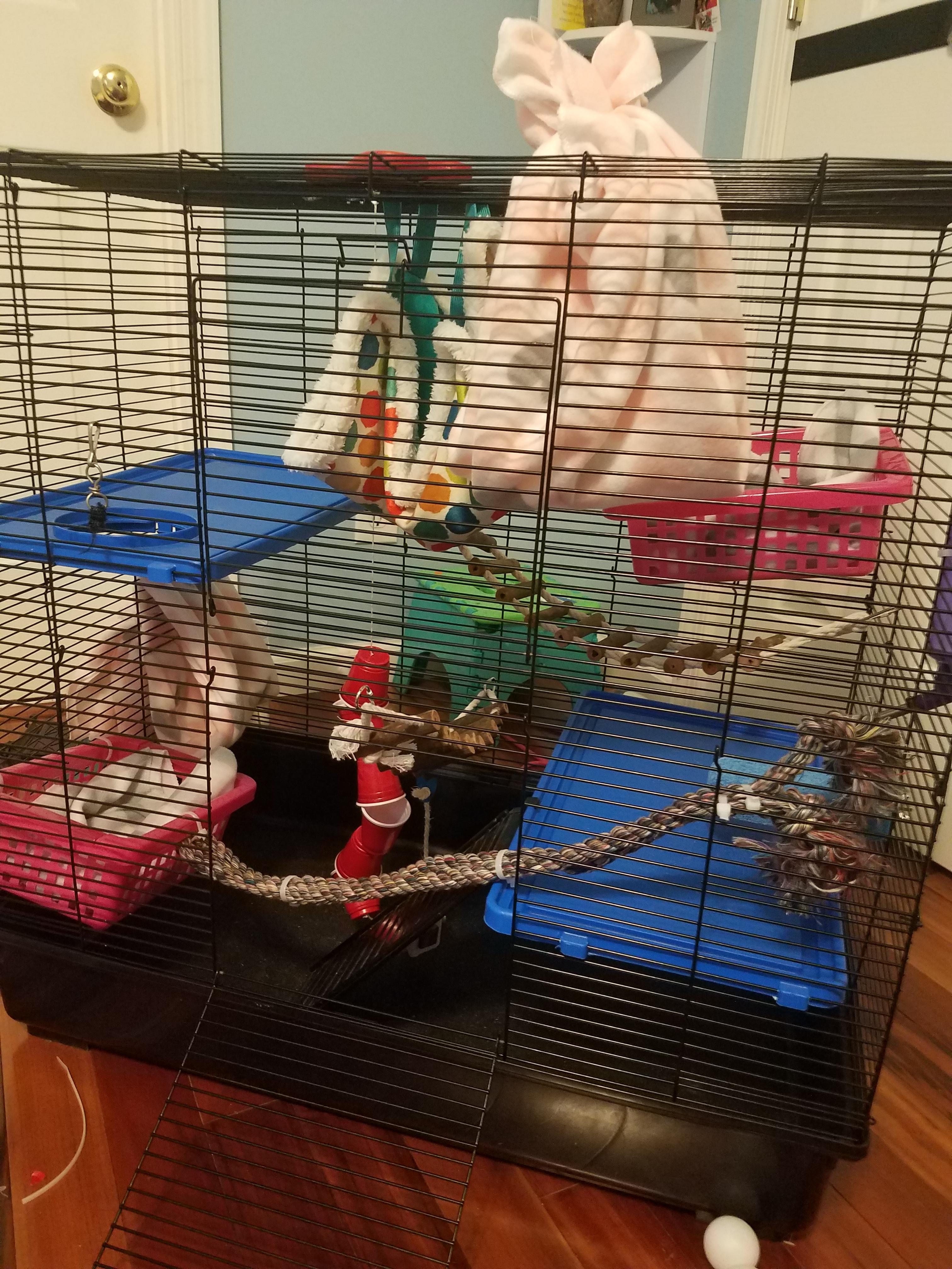 I still have to add the bedding, but is everything good? r/RATS
