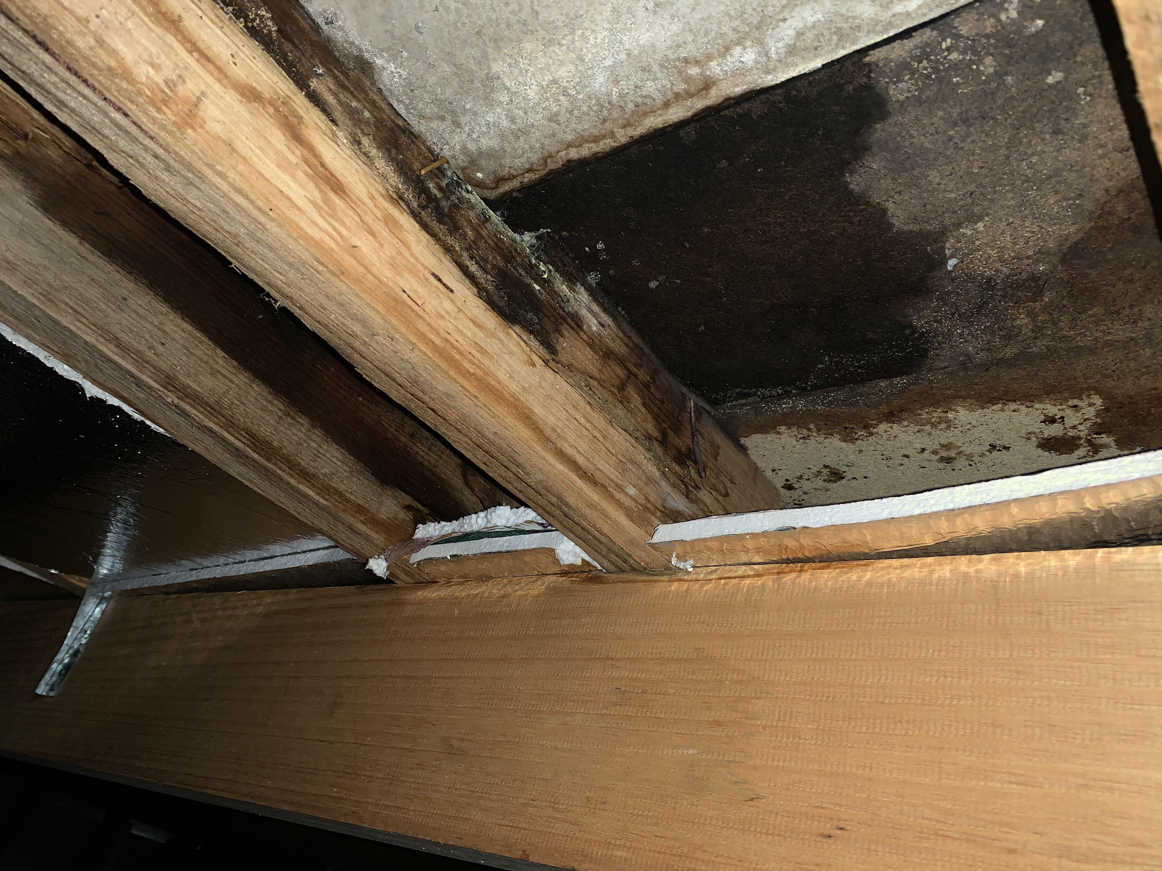 Leaky shower. Asked if covered by insurance No but can send someone