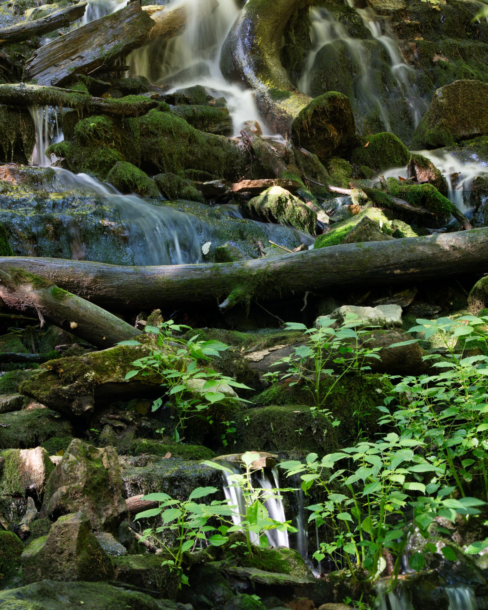 Leonard Springs Bloomington Indiana 2 Shot Pano r/bloomington