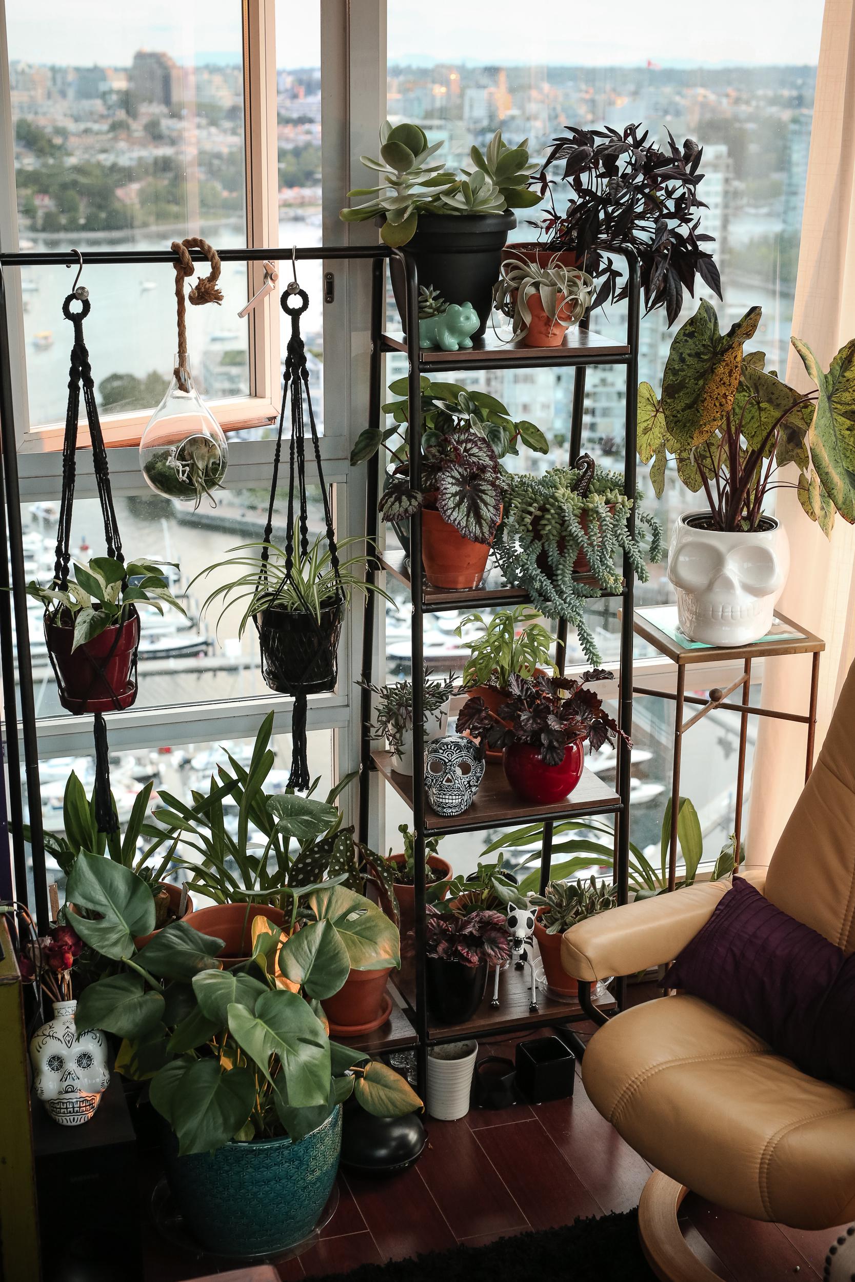 Here's my collection on the infamous garment rack. Hanging out in the