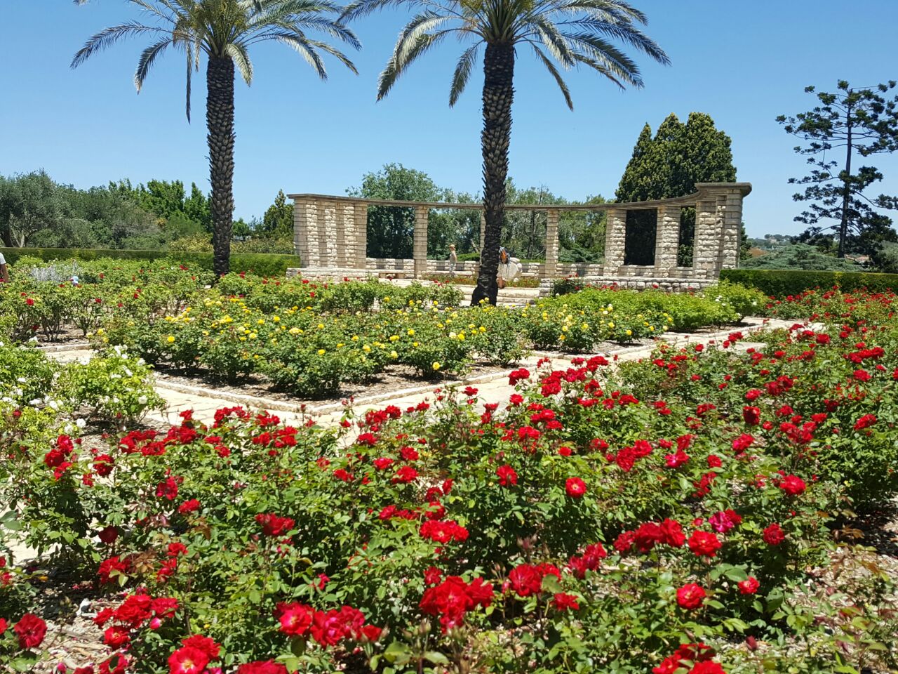 Baron Edmond de Rothschild Gardens, Israel r/gardening