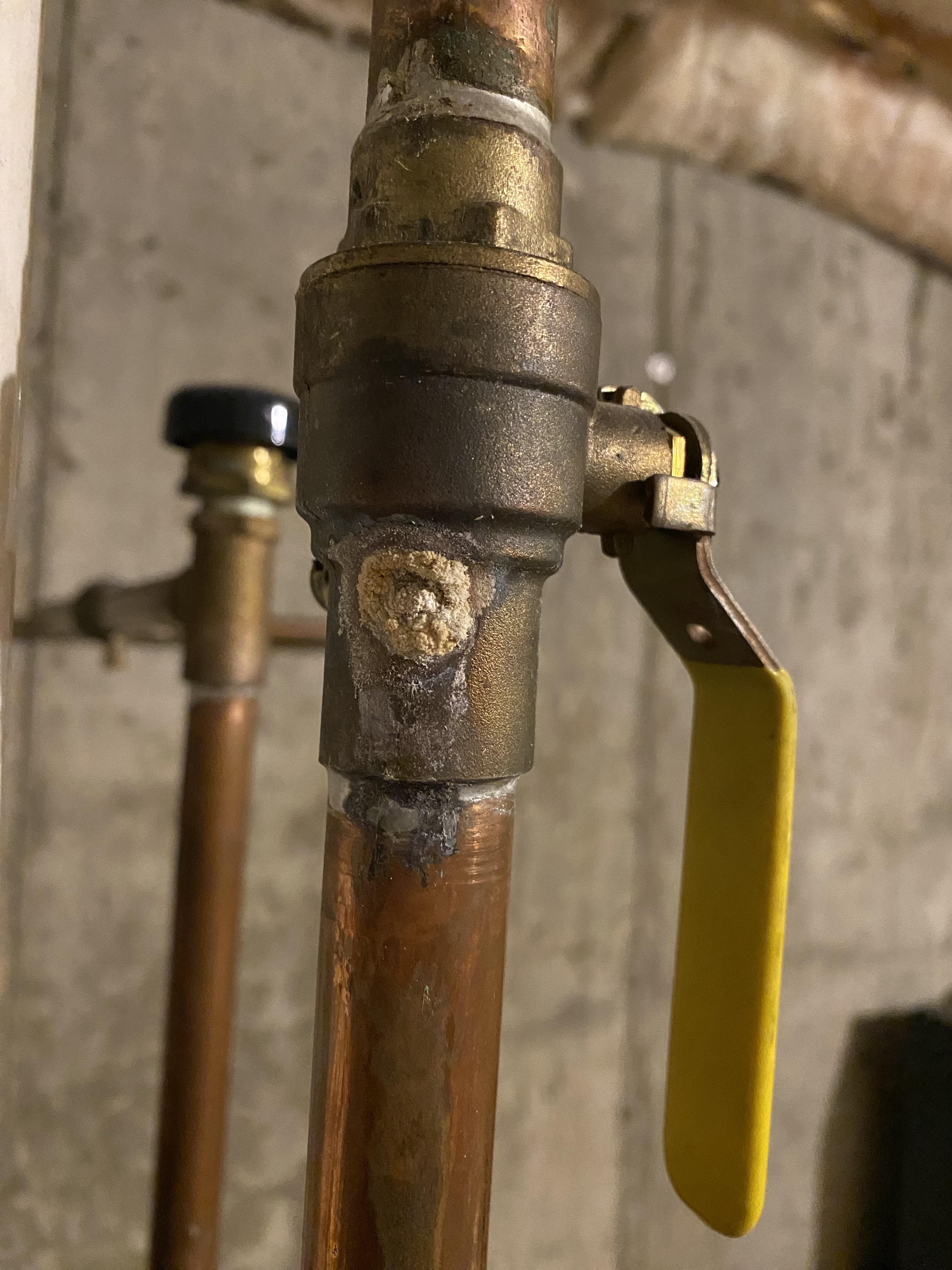 White powdery stuff on hot water pipe. What is this? r/Plumbing