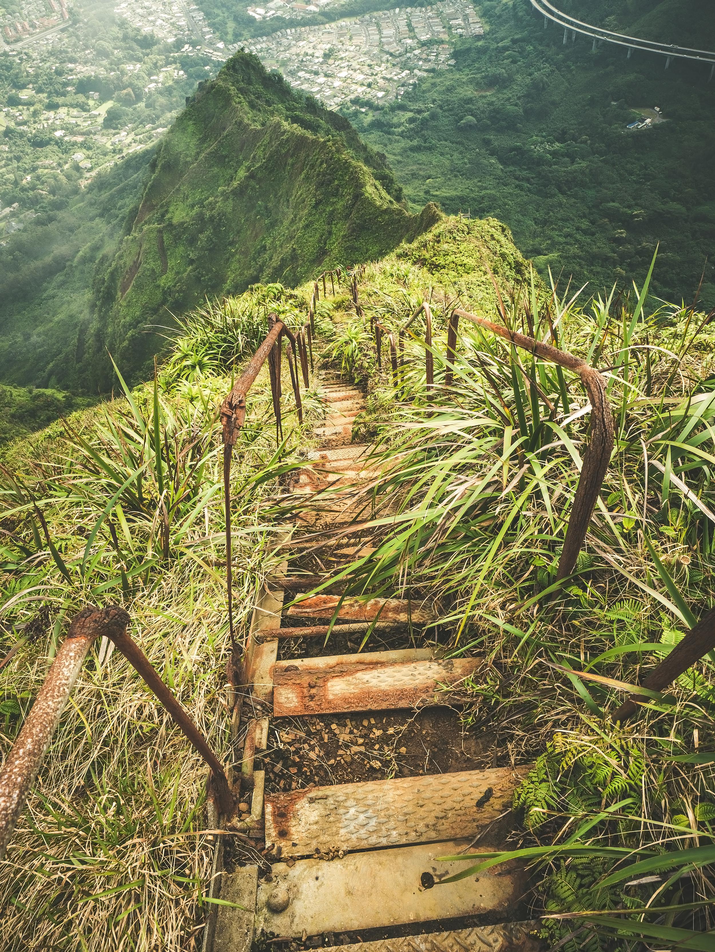Stairway to Hell Hike, O'ahu, Hawaii, USA r/Outdoors