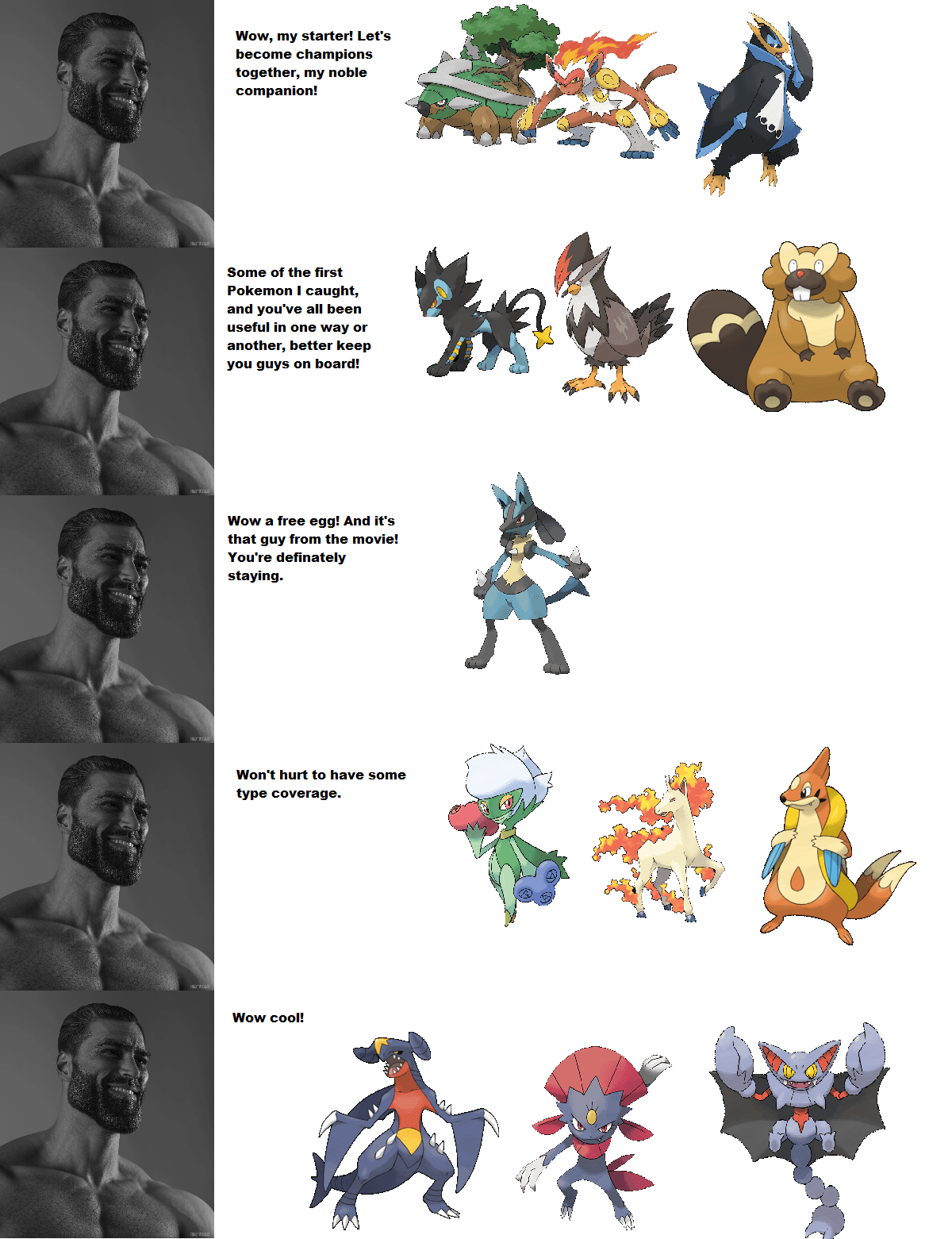 This team looks too familiar for me... r/animegamoogmemer