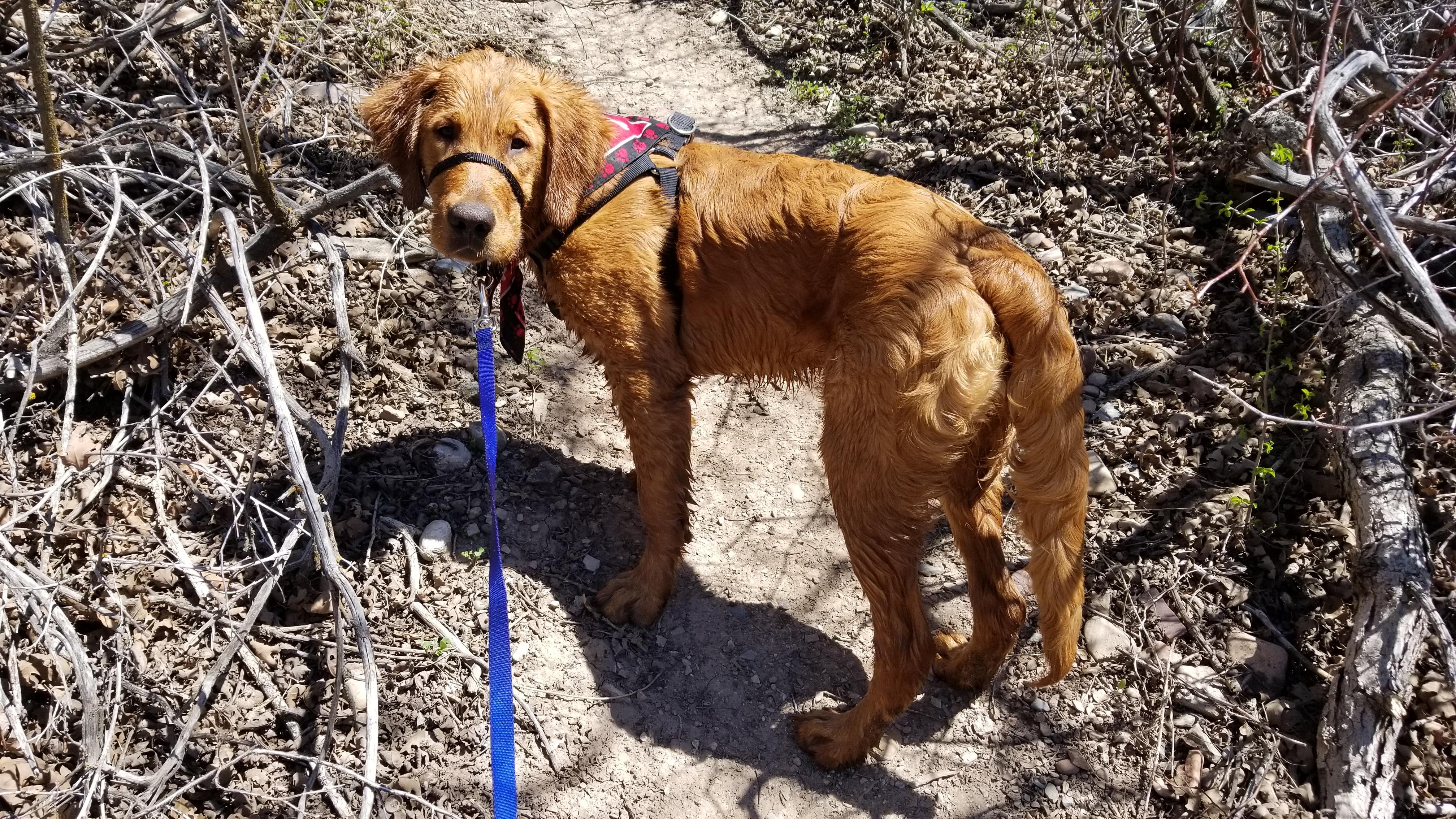 Thank you, Reddit, for the Tanner Park r/SaltLakeCity