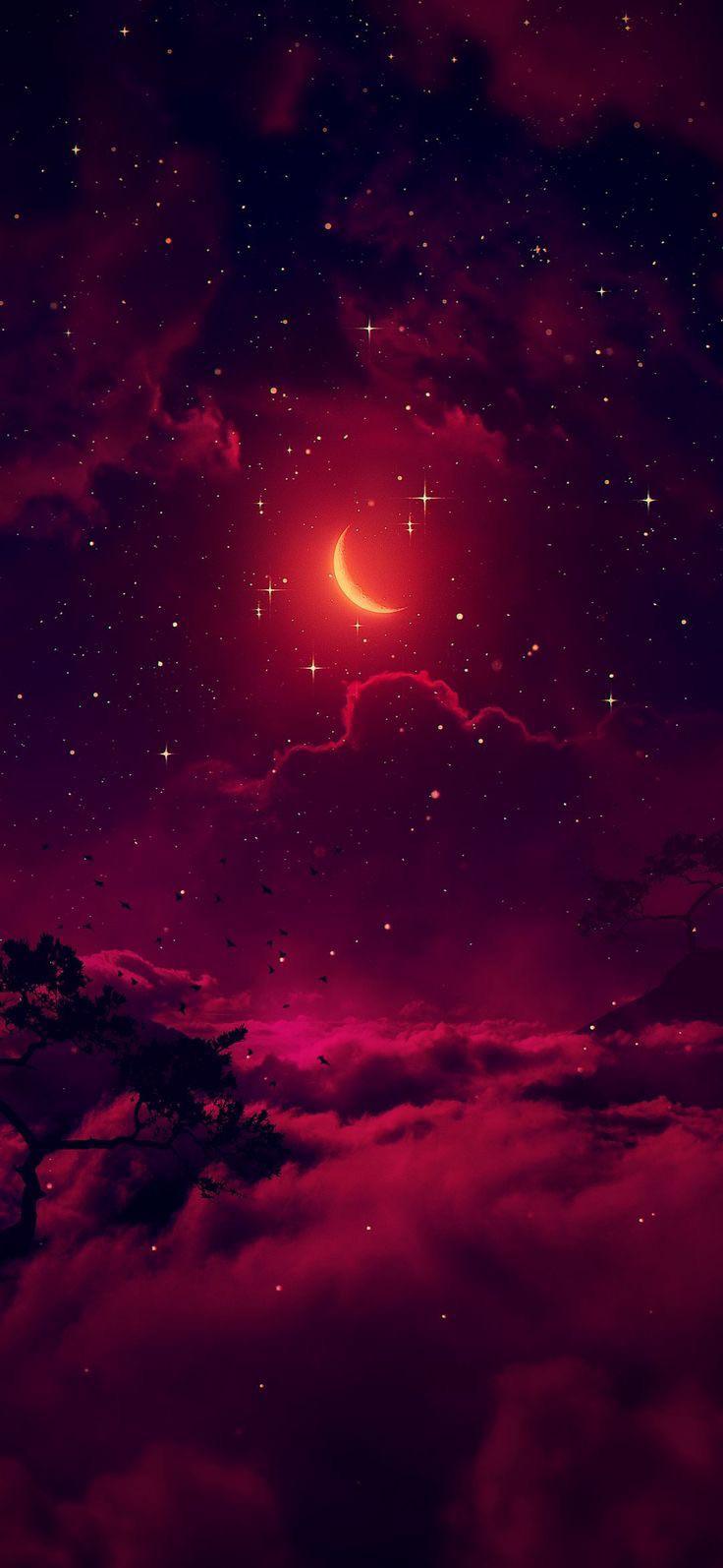 Crimson evening r/aesthetic