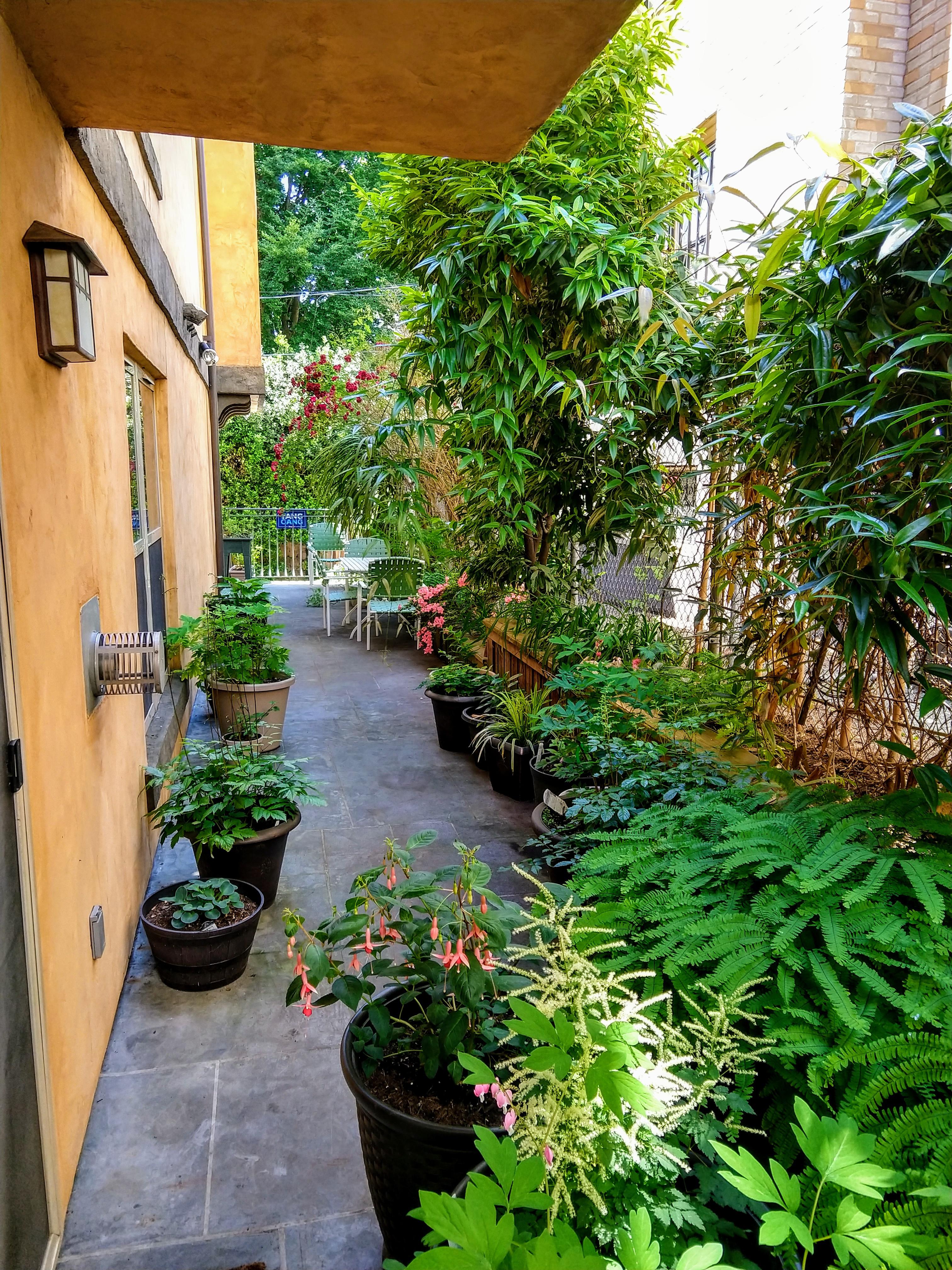 Our cozy apartment patio in the city is now ready for summer r/CozyPlaces