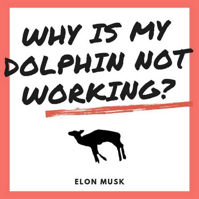 Elon Musk Why Is My Dolphin Not Working fakealbumcovers