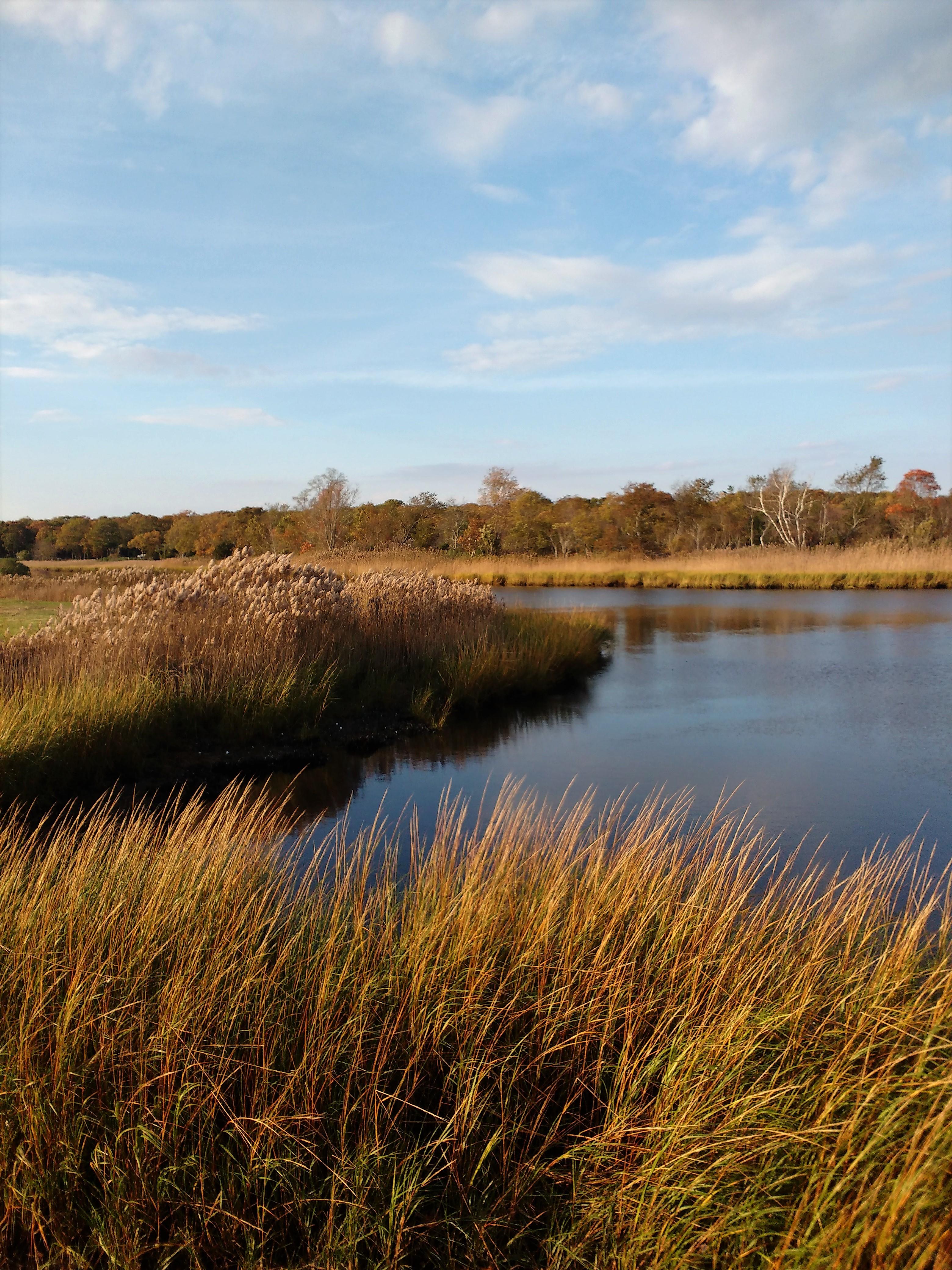 eastern Long Island [3120x4160] r/EarthPorn