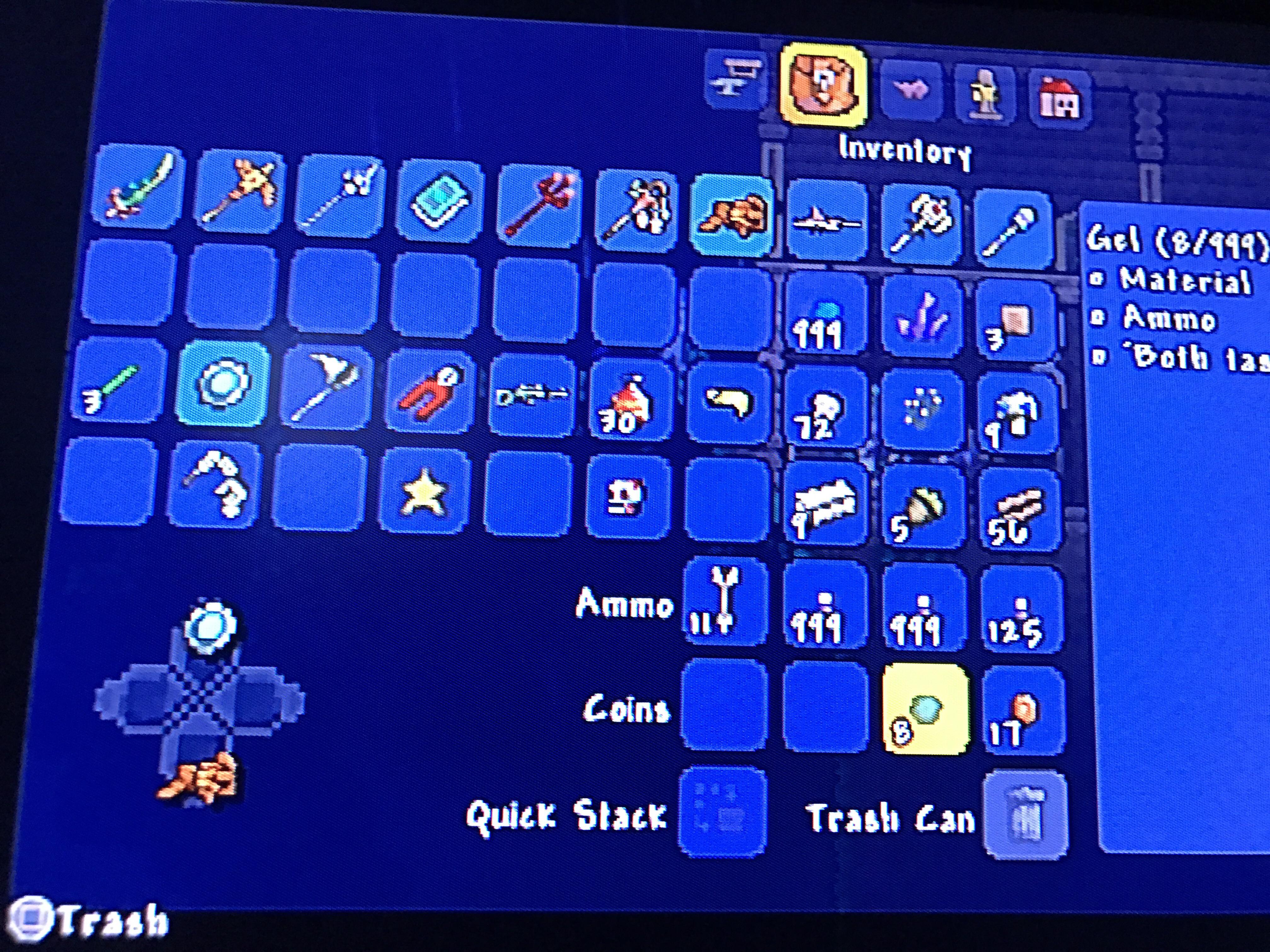 Didn't know gel counted as coins, huh r/Terraria