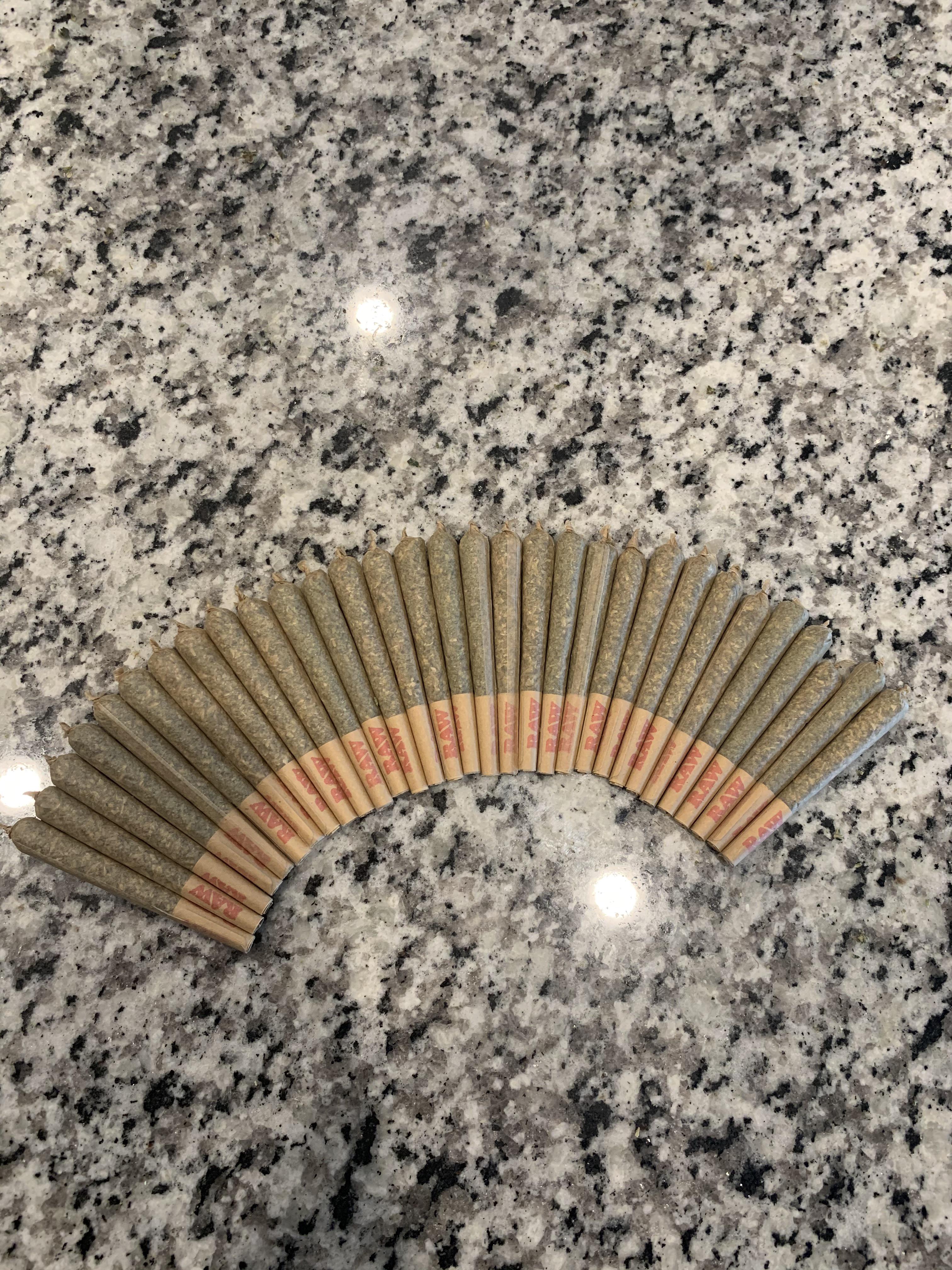 Raw Cones Finally Came In r/trees