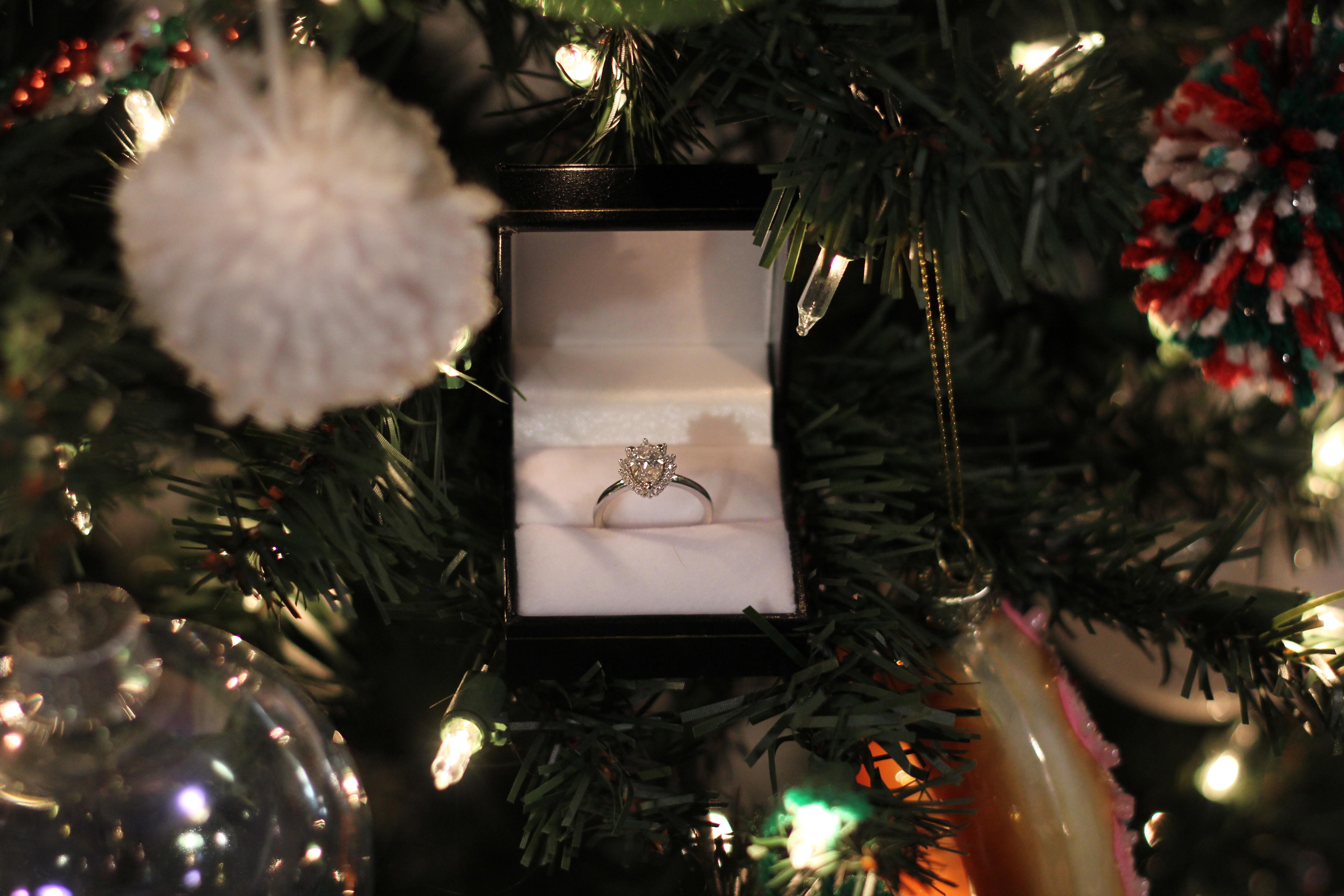 Asked her to marry me in own apartment after my original plan fell