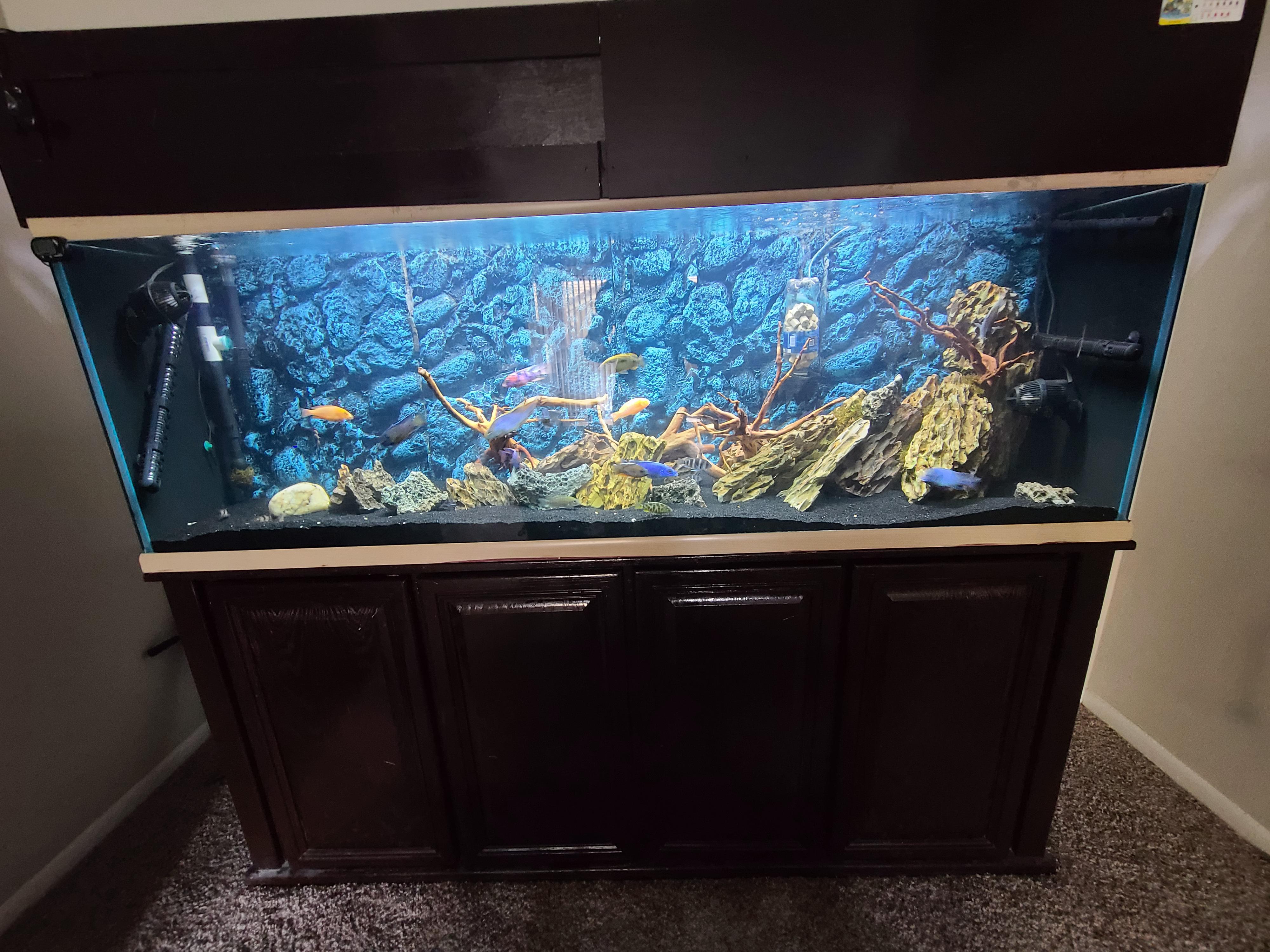 How long is too long to leave the aquarium light on....4hrs,8hrs and