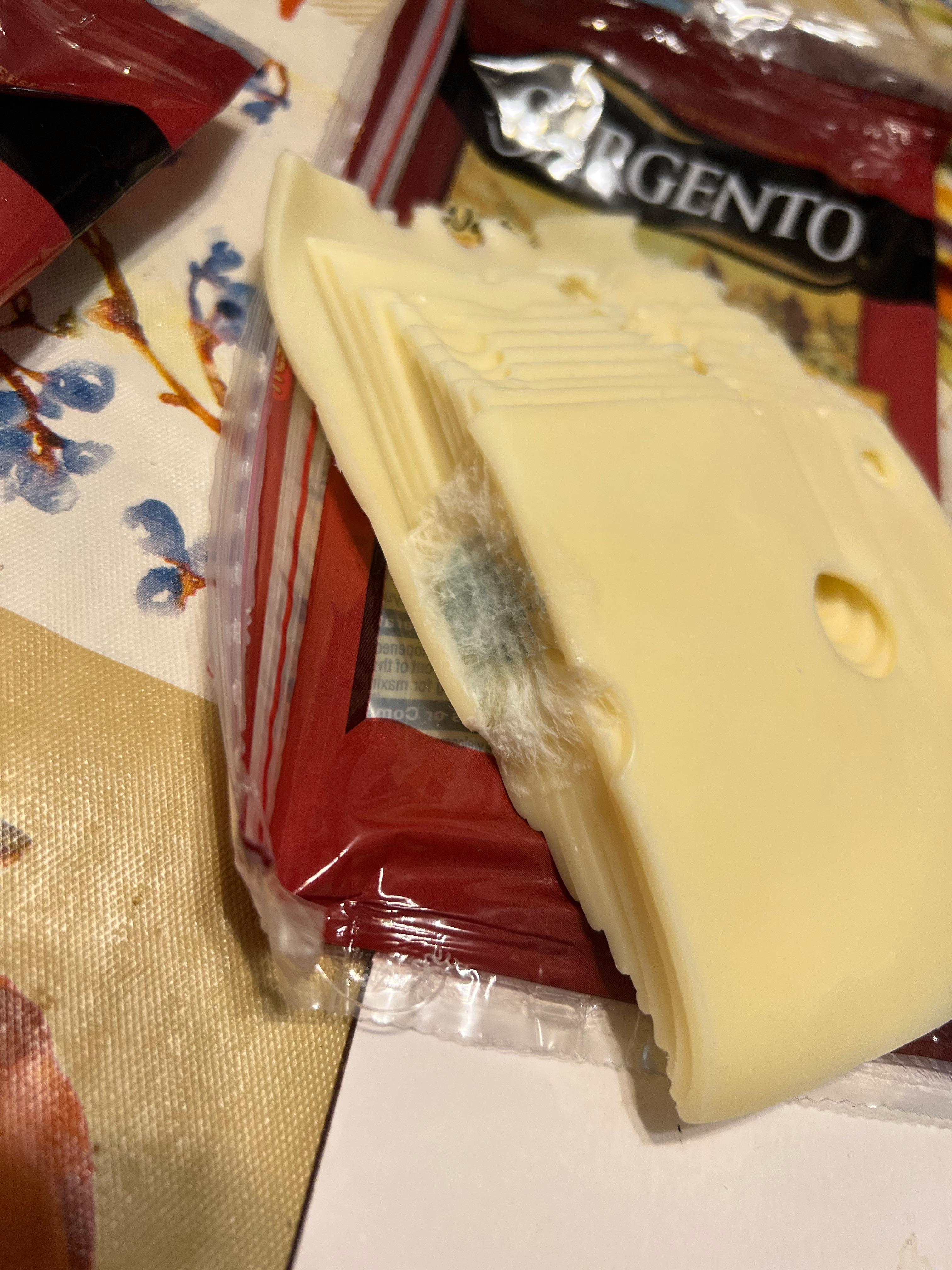Swiss that I just bought yesterday, only to discover it’s moldy ON