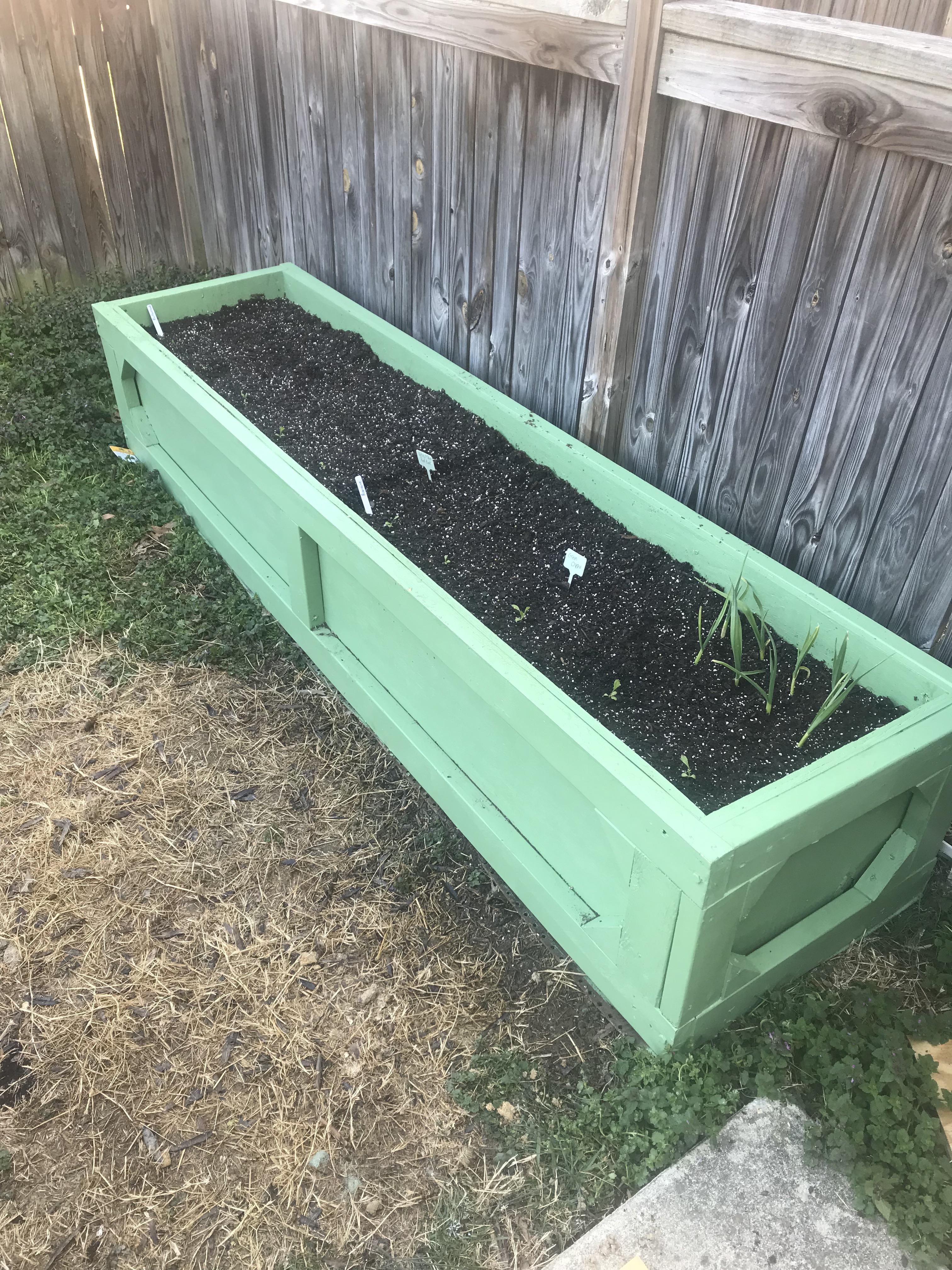 My brand new raised garden bed! It already has romaine and butter