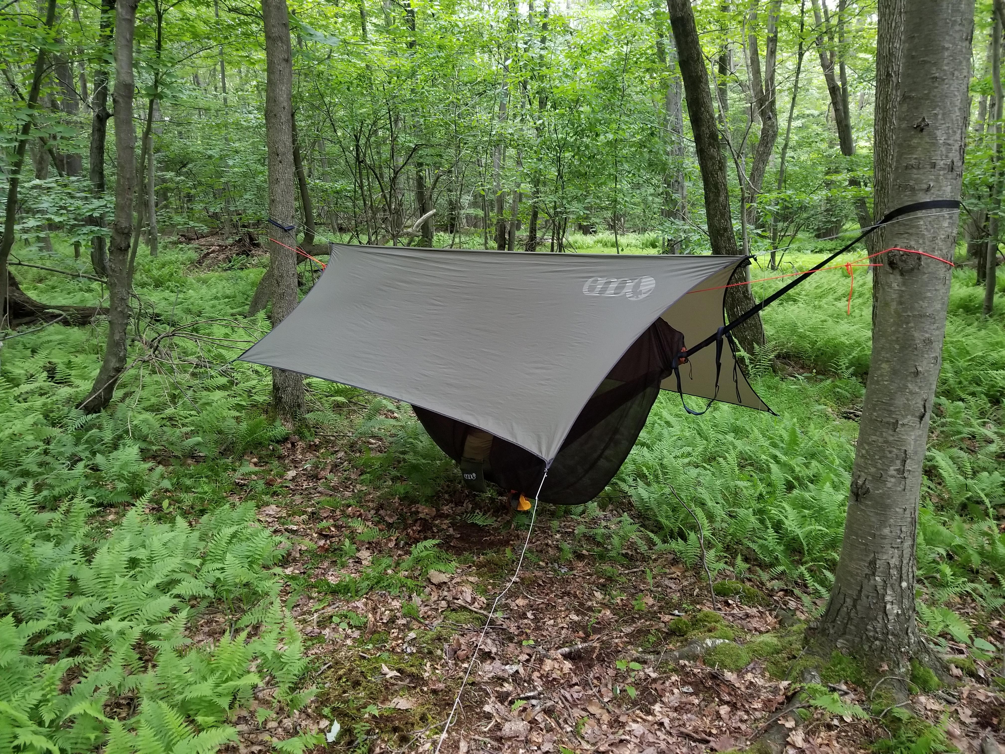 My setup in the Tuscarora State Forest last weekend camping