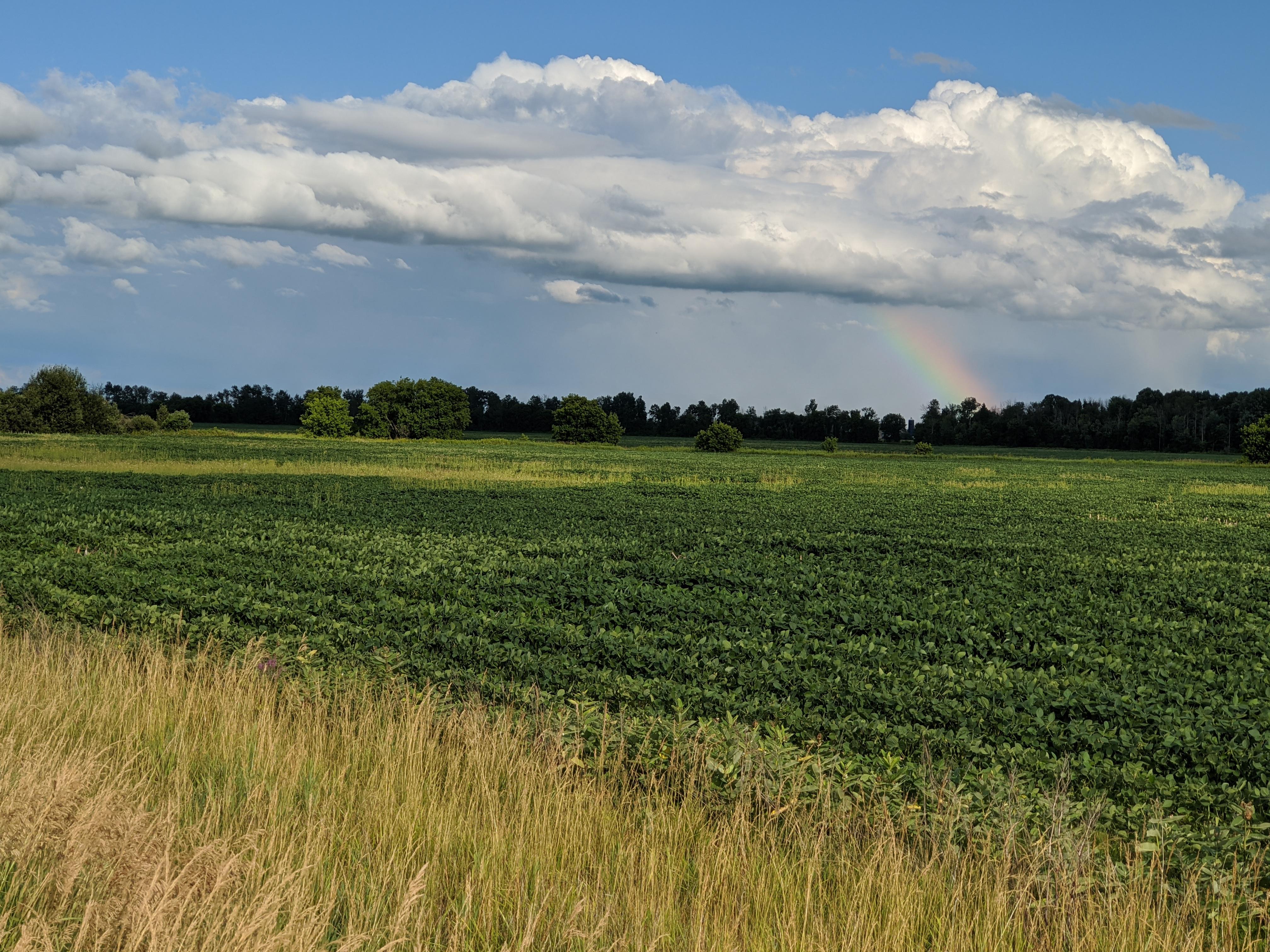 Shea Road this evening, around 6pm. I love Ottawa!! r/ottawa