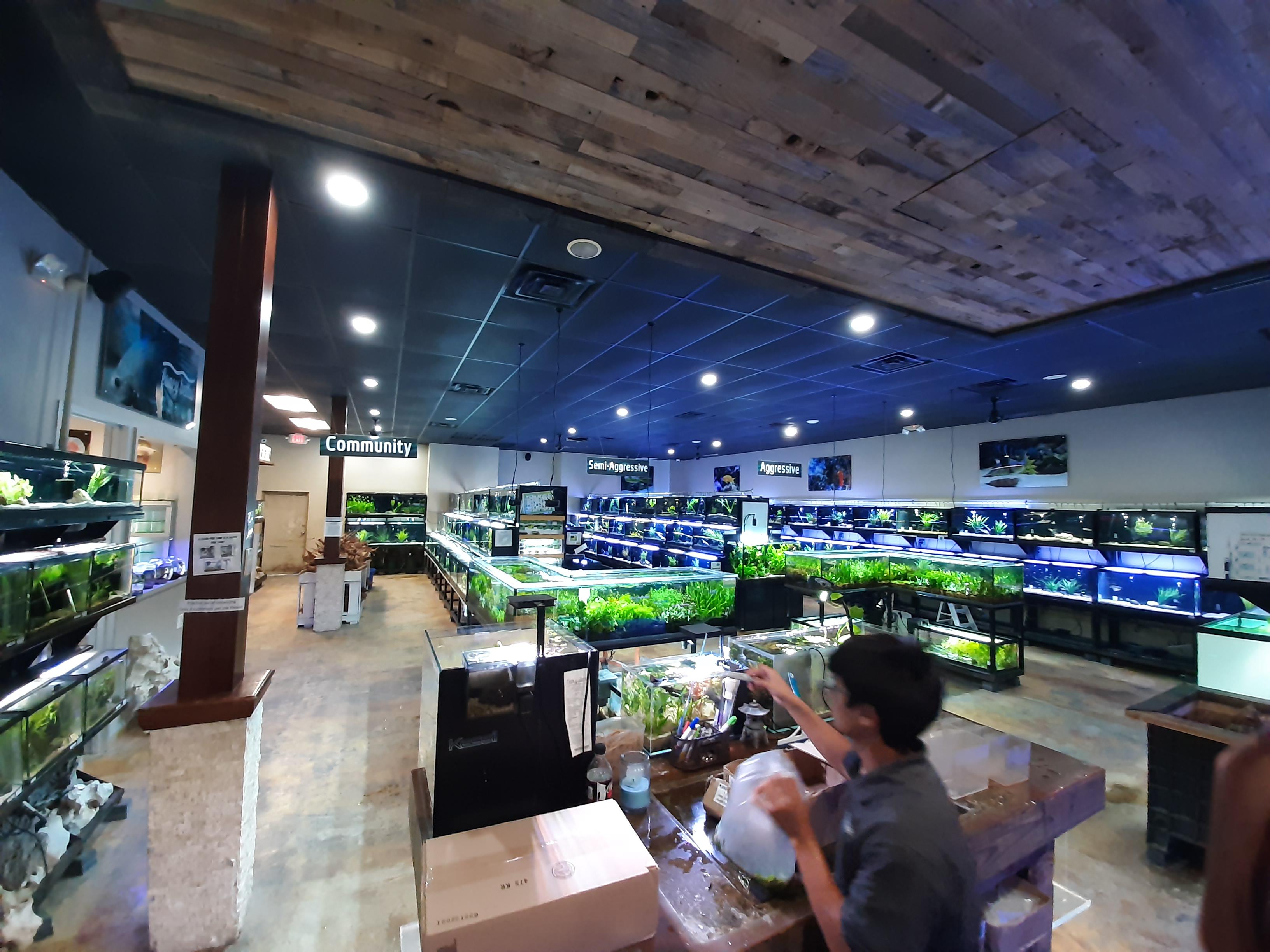 The freshwater section at my lfs ( Fish Gallery Houston)... r/Aquariums