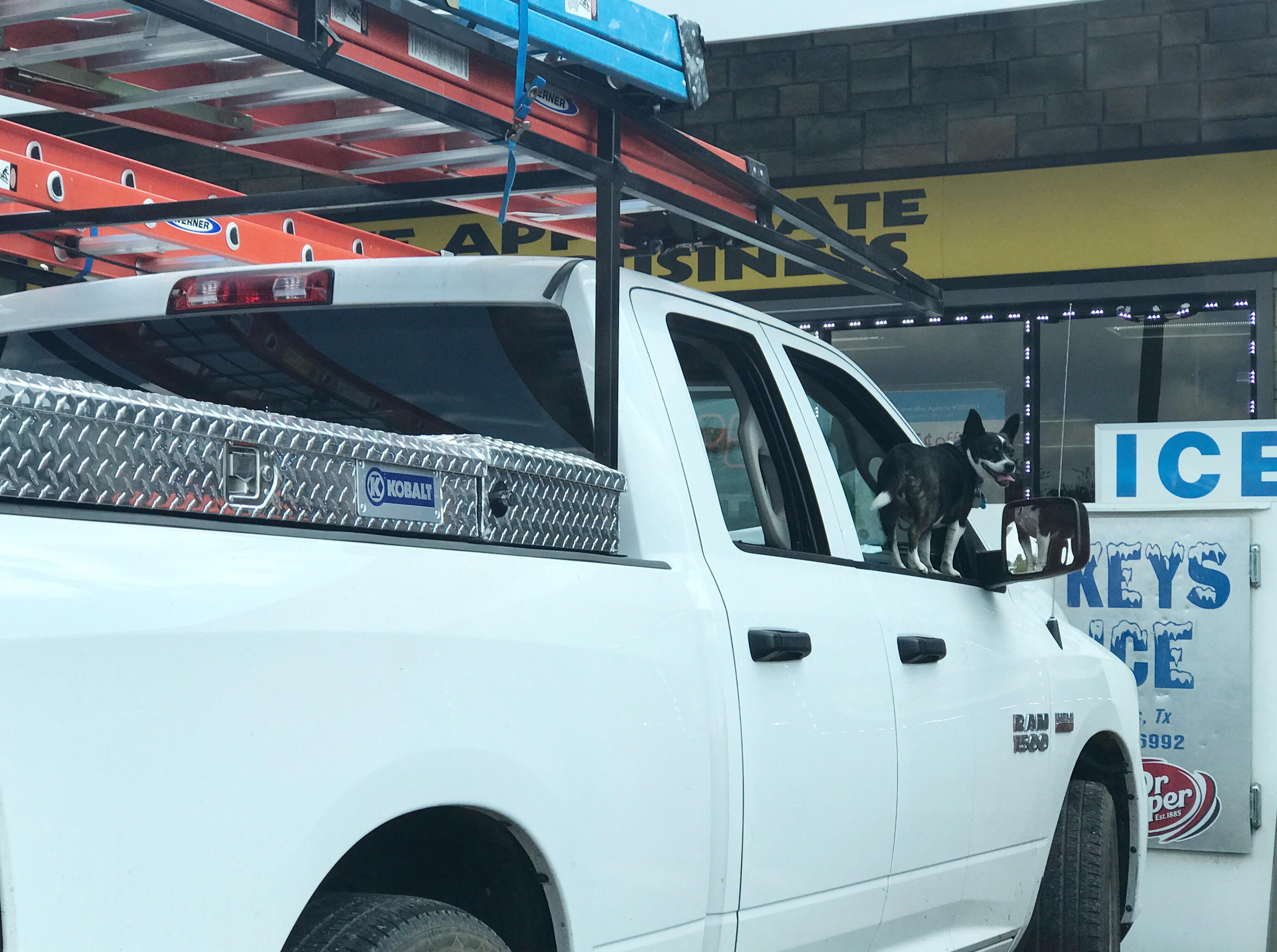 Meanwhile in east Texas... r/texas