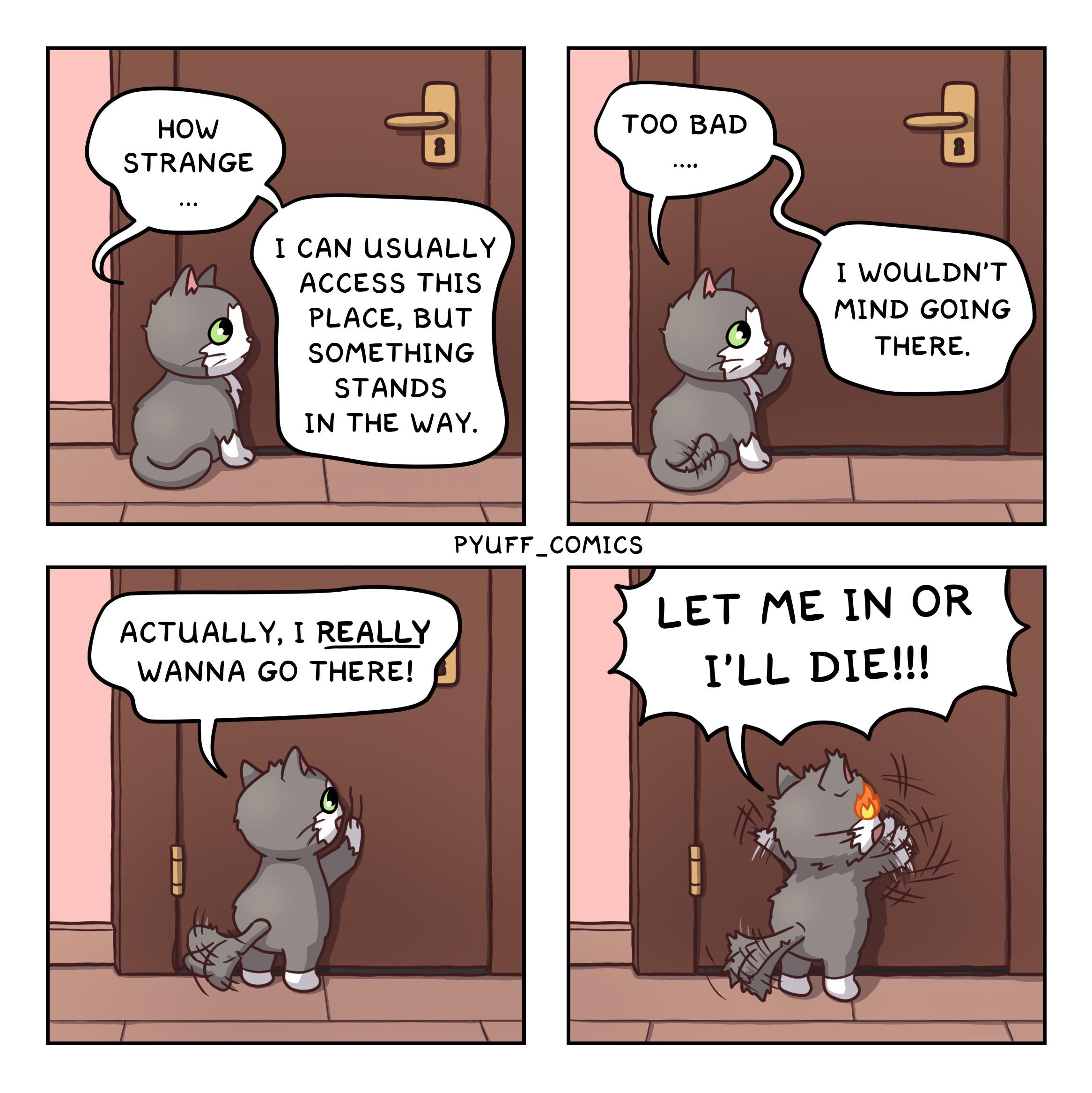 [OC] Cats and closed doors comics