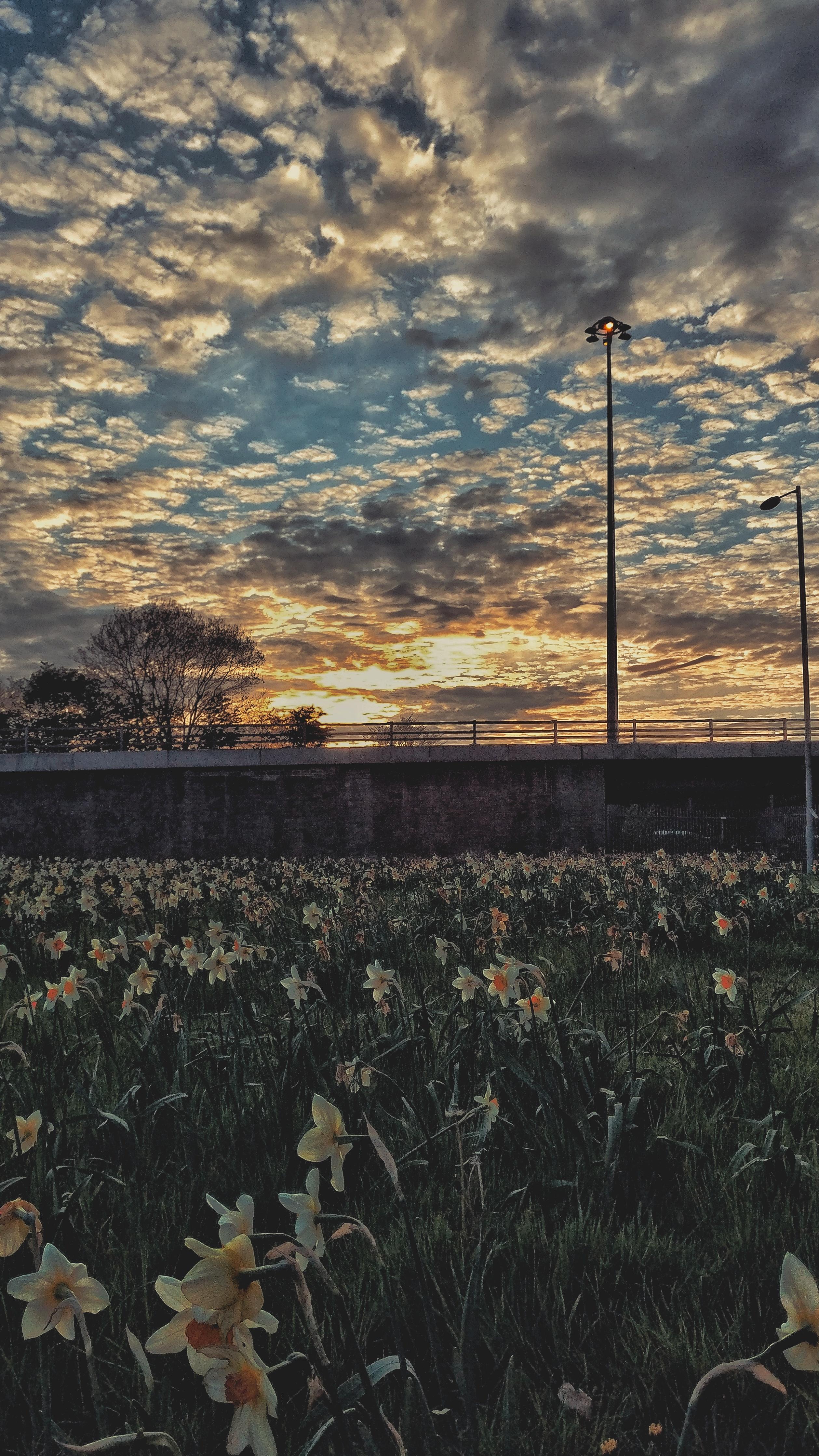 A positive thing about Wallace street r/glasgow