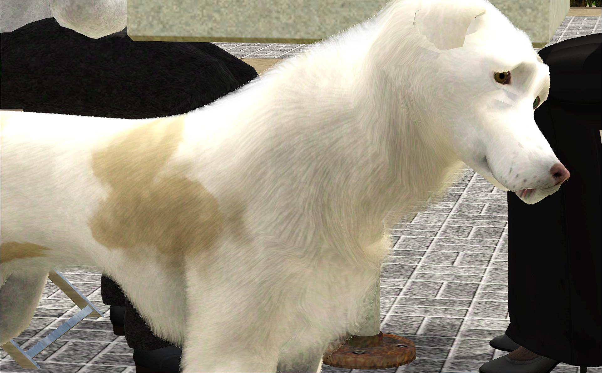 The detailed animal fur in the sims 3, Love this! r/Sims3