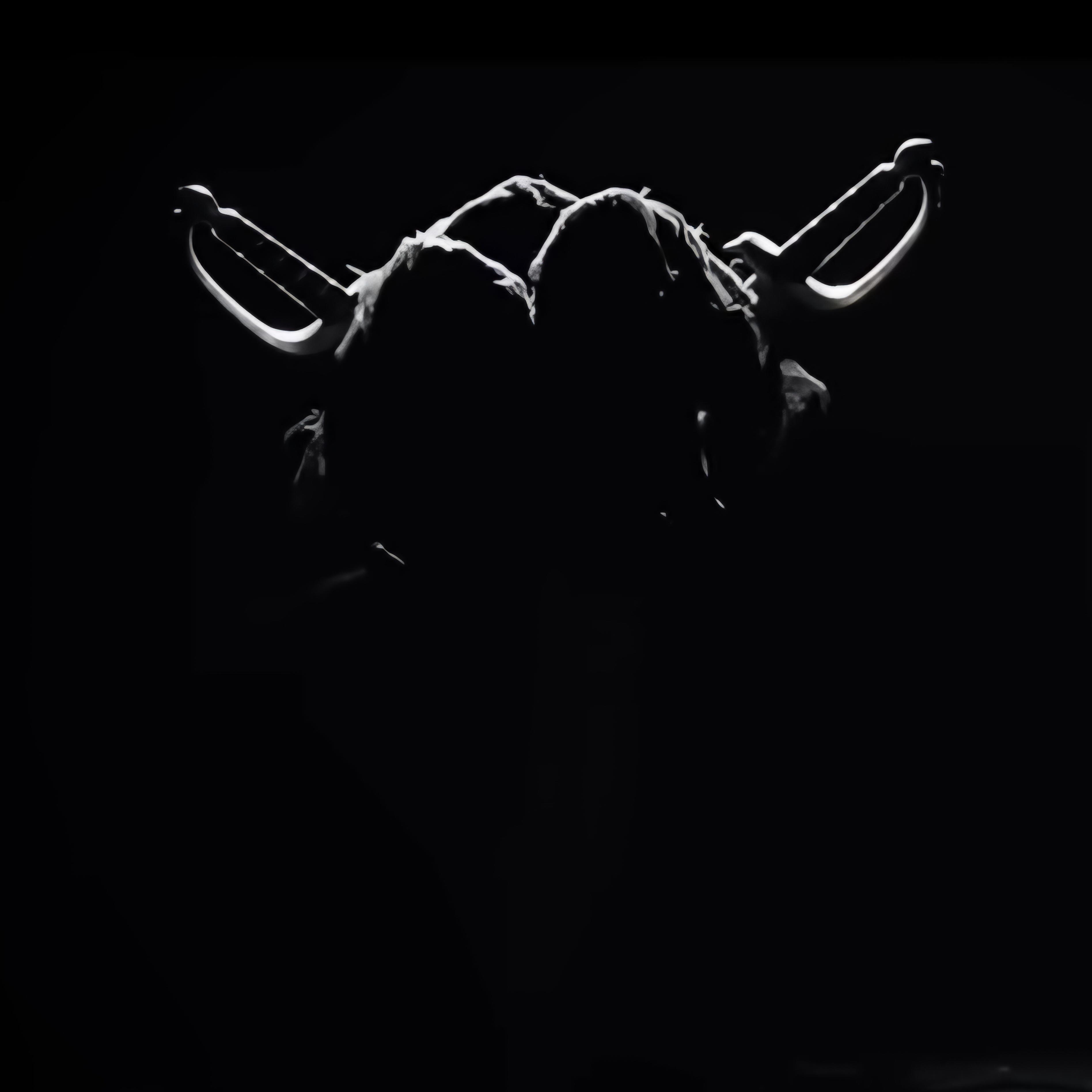 Has anyone figured out what this is supposed to be? r/raiders