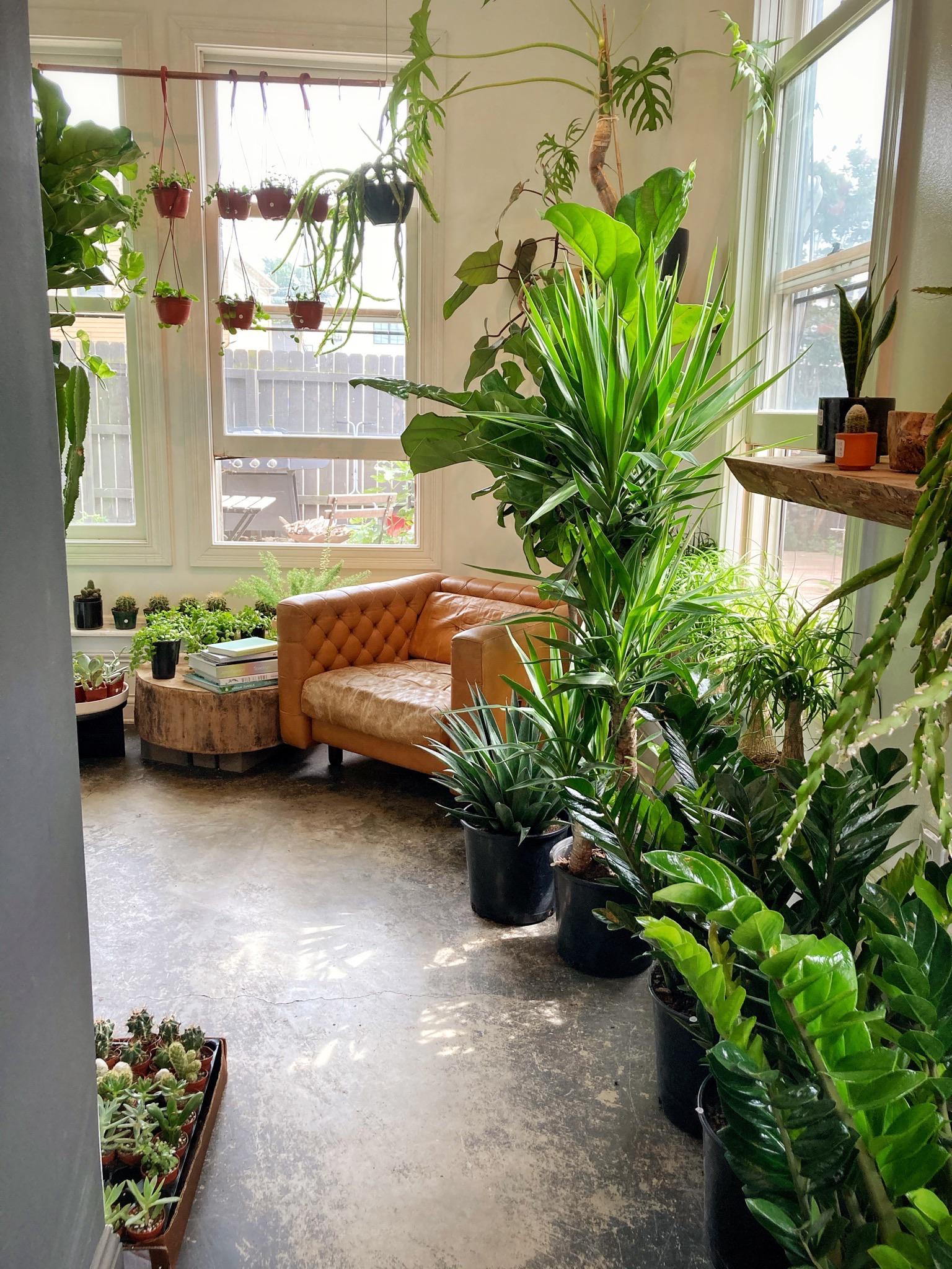 Finally checked out the plant shop in town today STUMP in Columbus