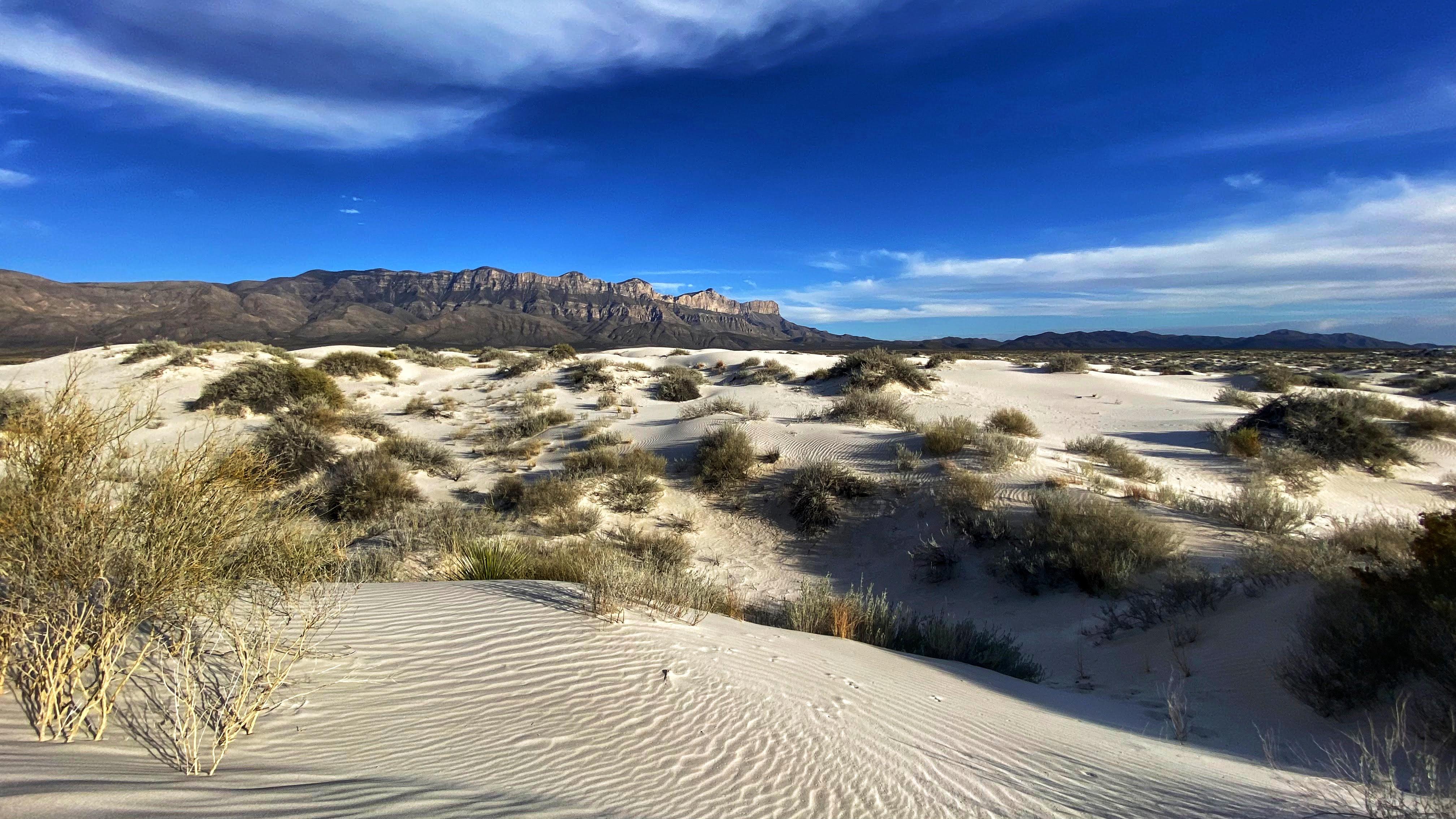 View of Guadalupe Mountains from the white sand dunes near to Dell City