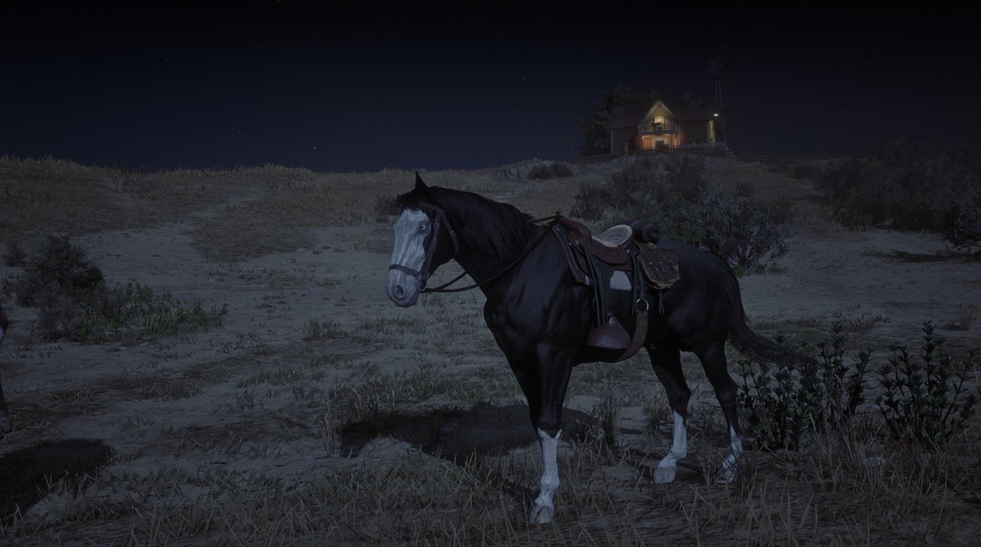 Black Missouri Fox Trotter found? r/reddeadredemption2