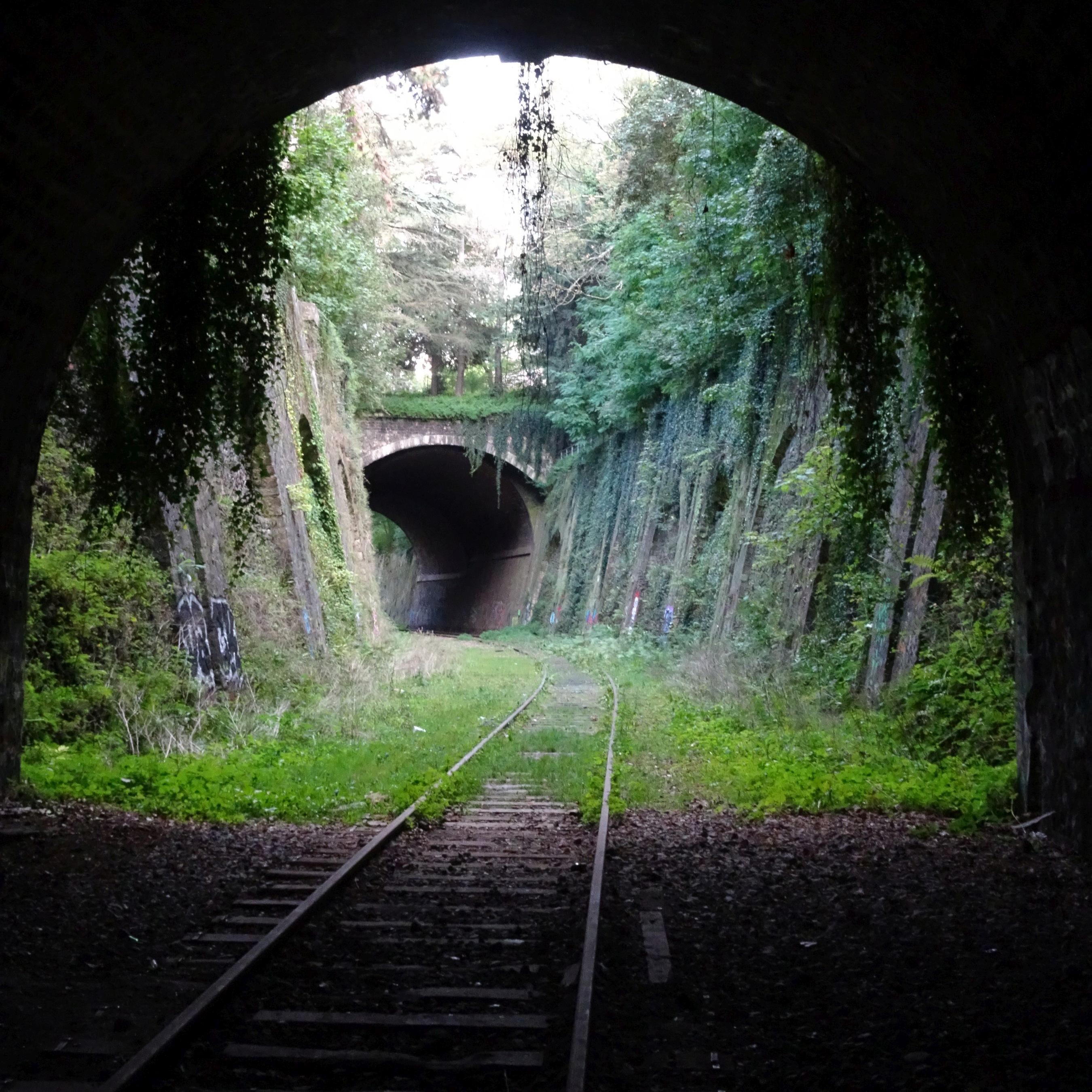 Le Chemin De Fer De Petite Ceinture Circular Railway Surrounding