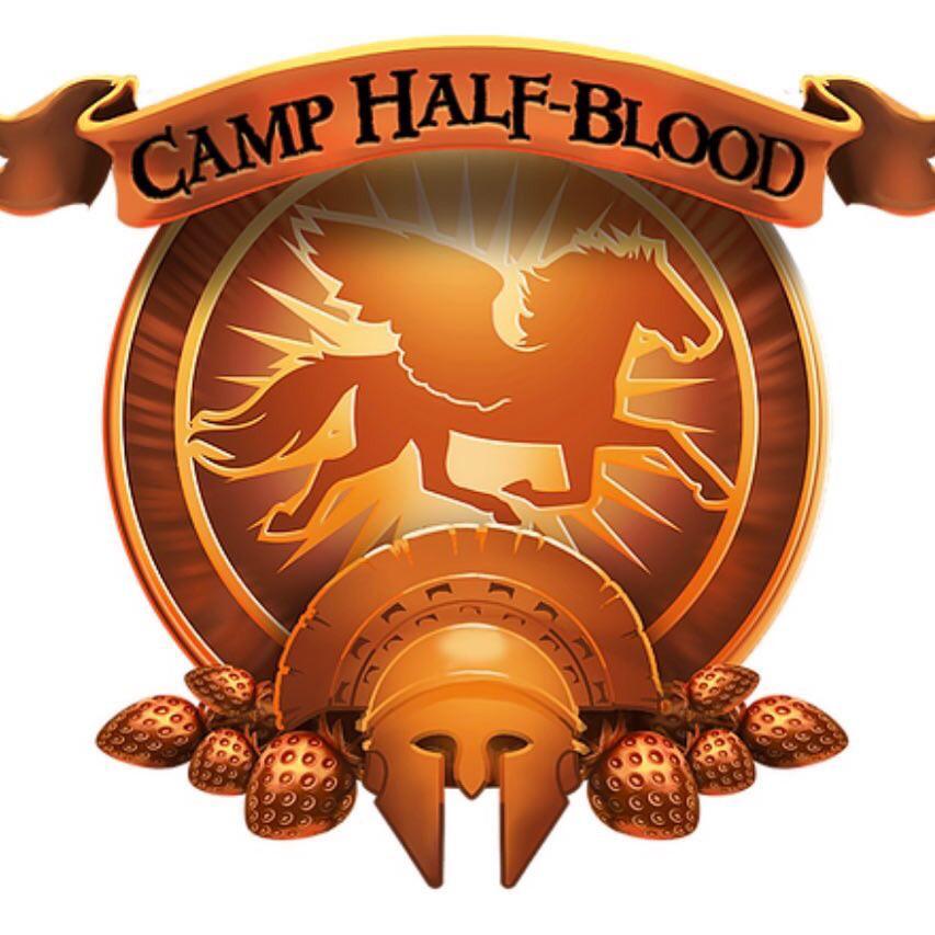 If Disney don’t have a section for Camp Half Blood at their parks I’m