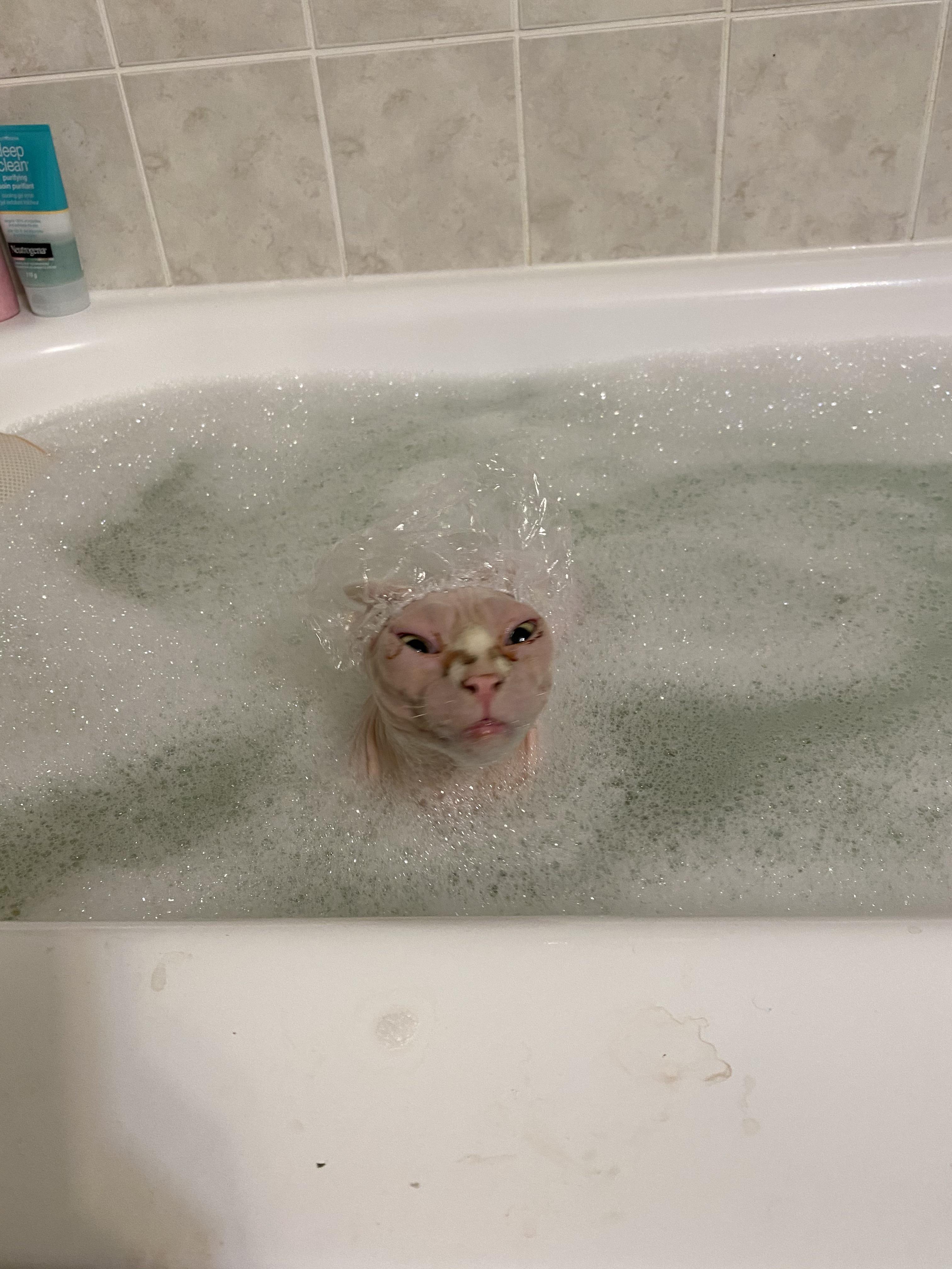 When the vet tells you to try and keep the cats ears dry... r/aww