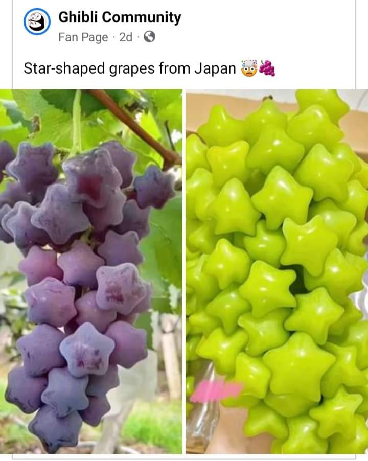 Star shaped grapes from Japan. First thing I thought of was the Star