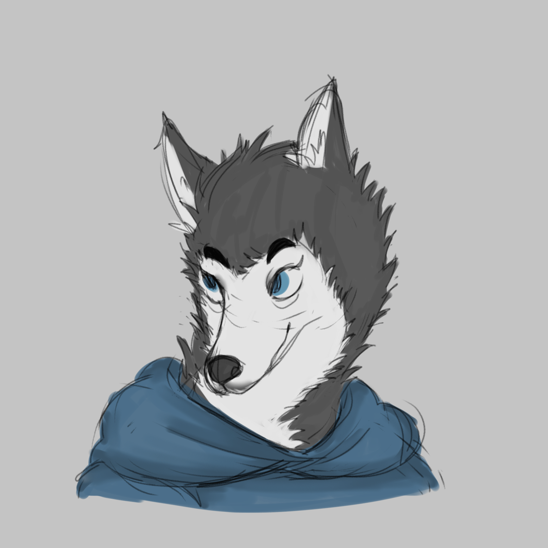 husky girl doodle ] furry