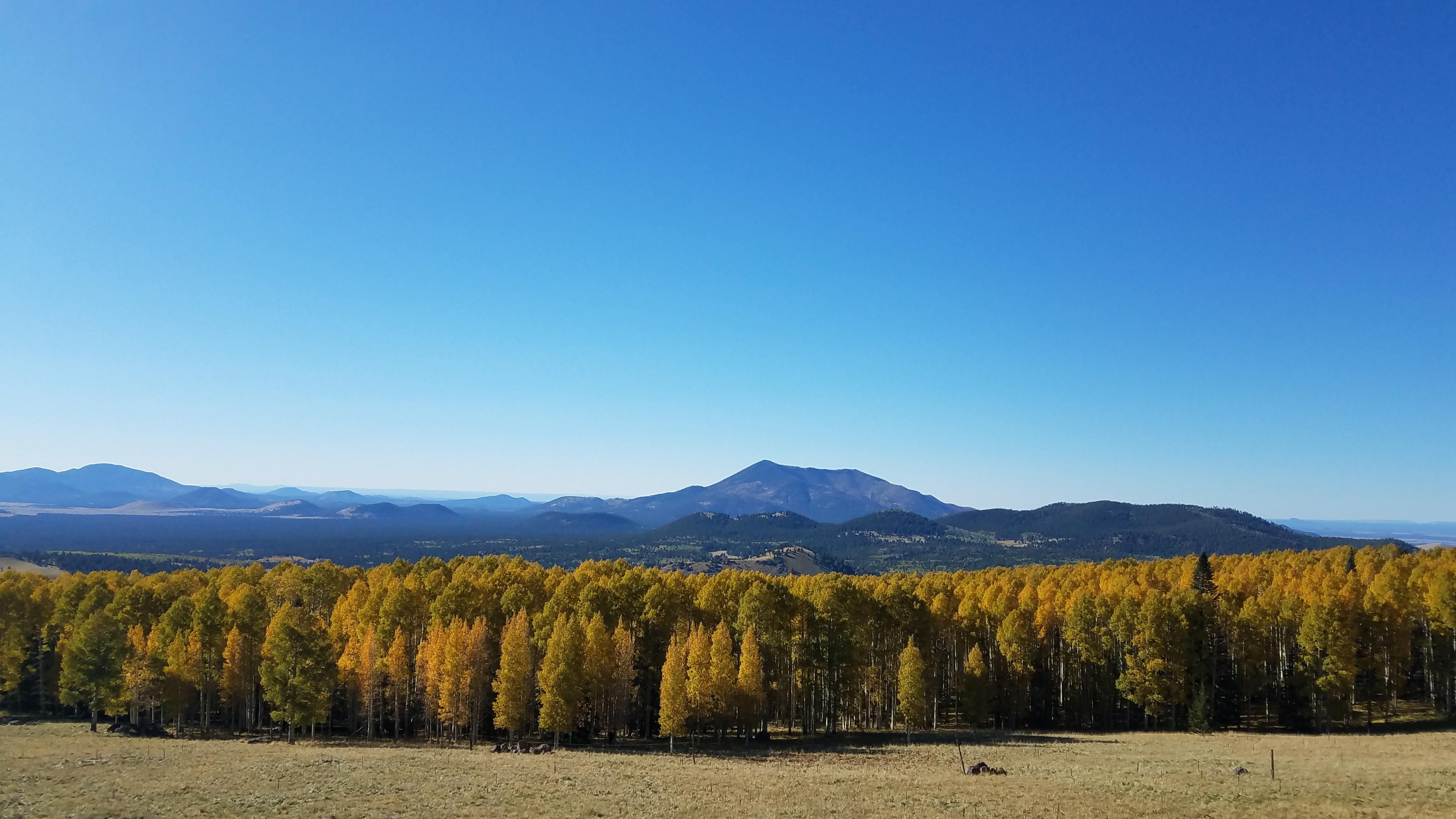 Fall colors in Flagstaff, Az [4032×2268][OC] r/EarthPorn