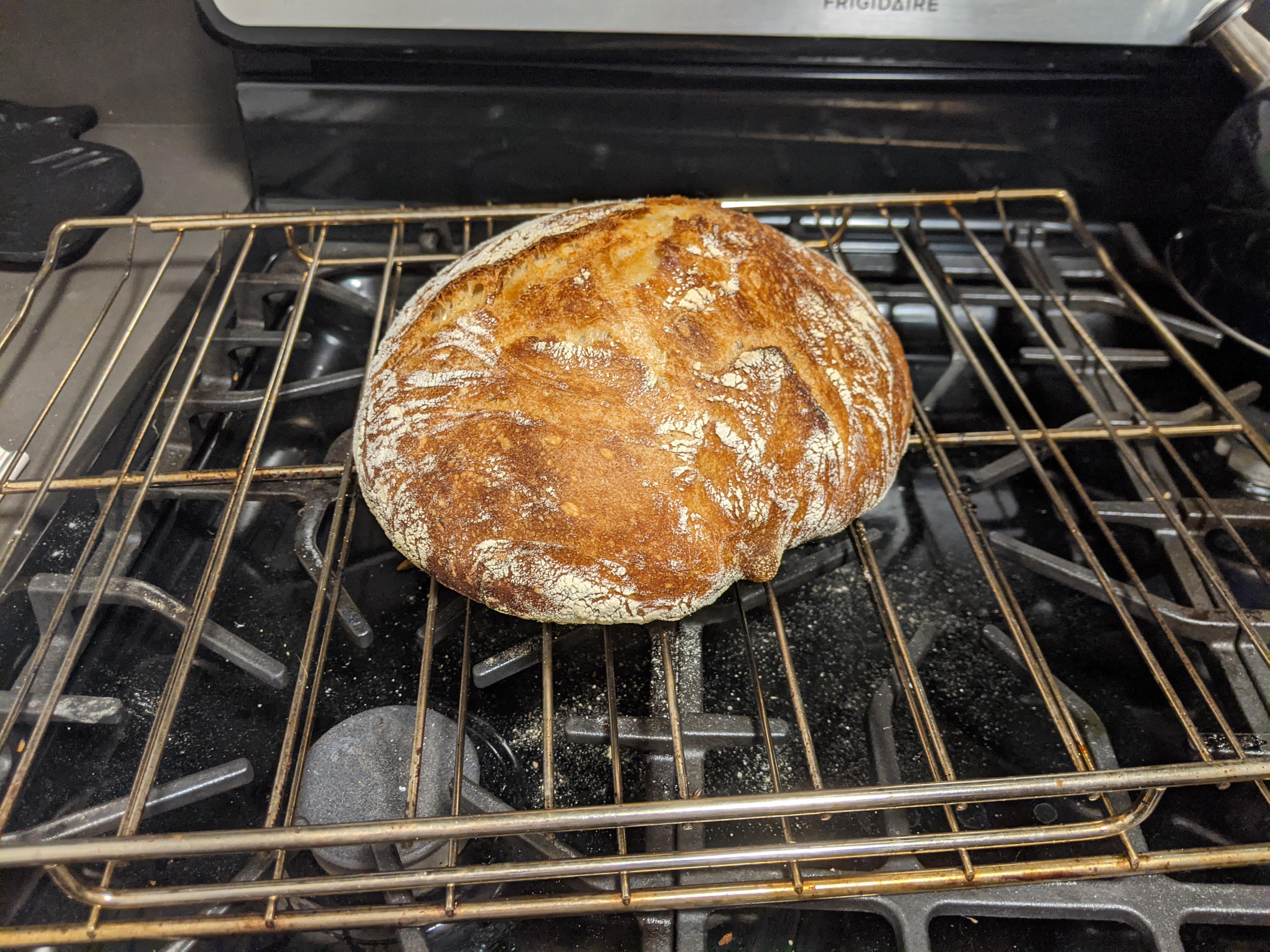 Picked up Flour Water Salt Yeast from the library and this is my first