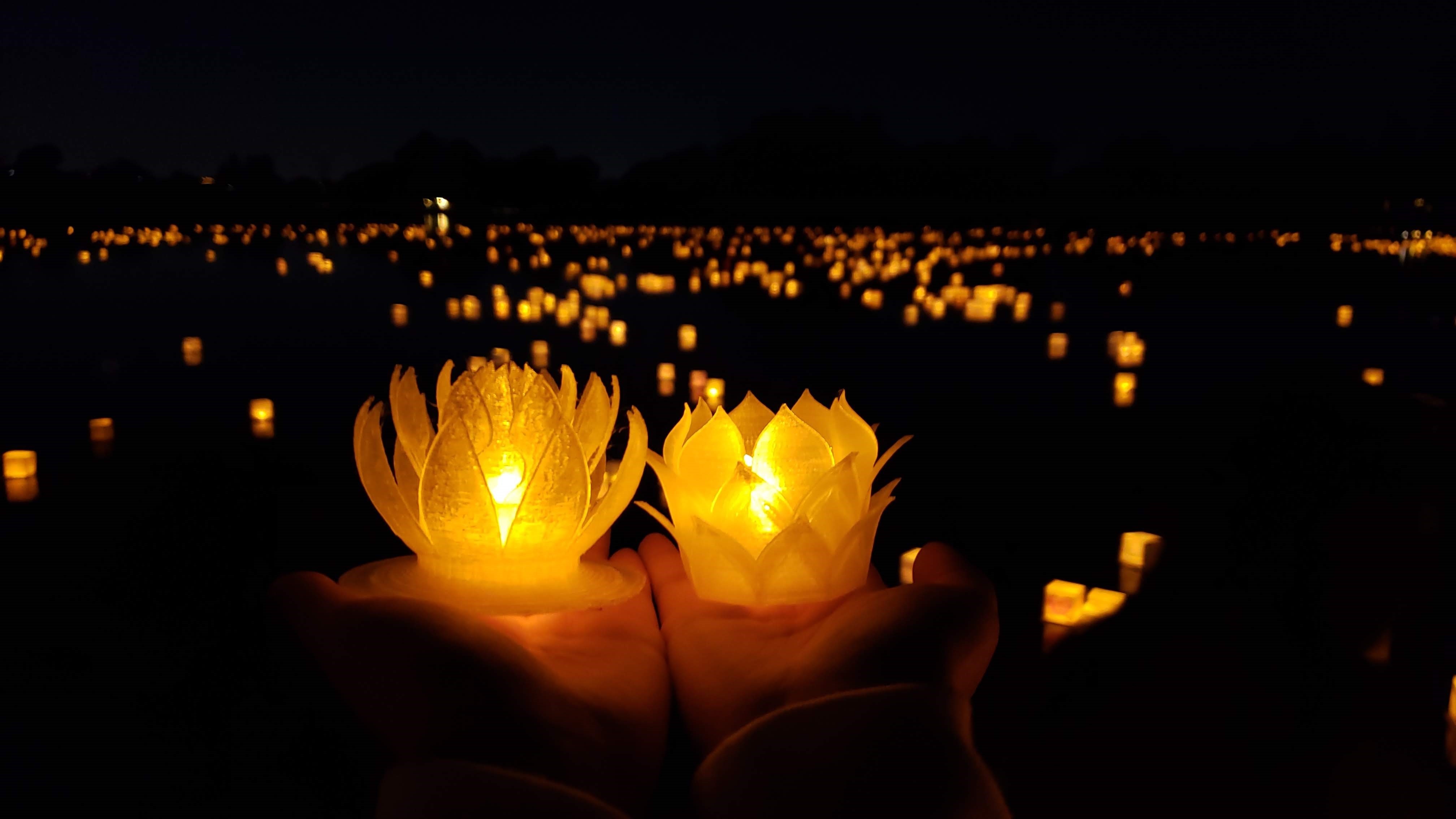 Lotus lanterns at Lights of Dreams Water Lantern Event LosAngeles