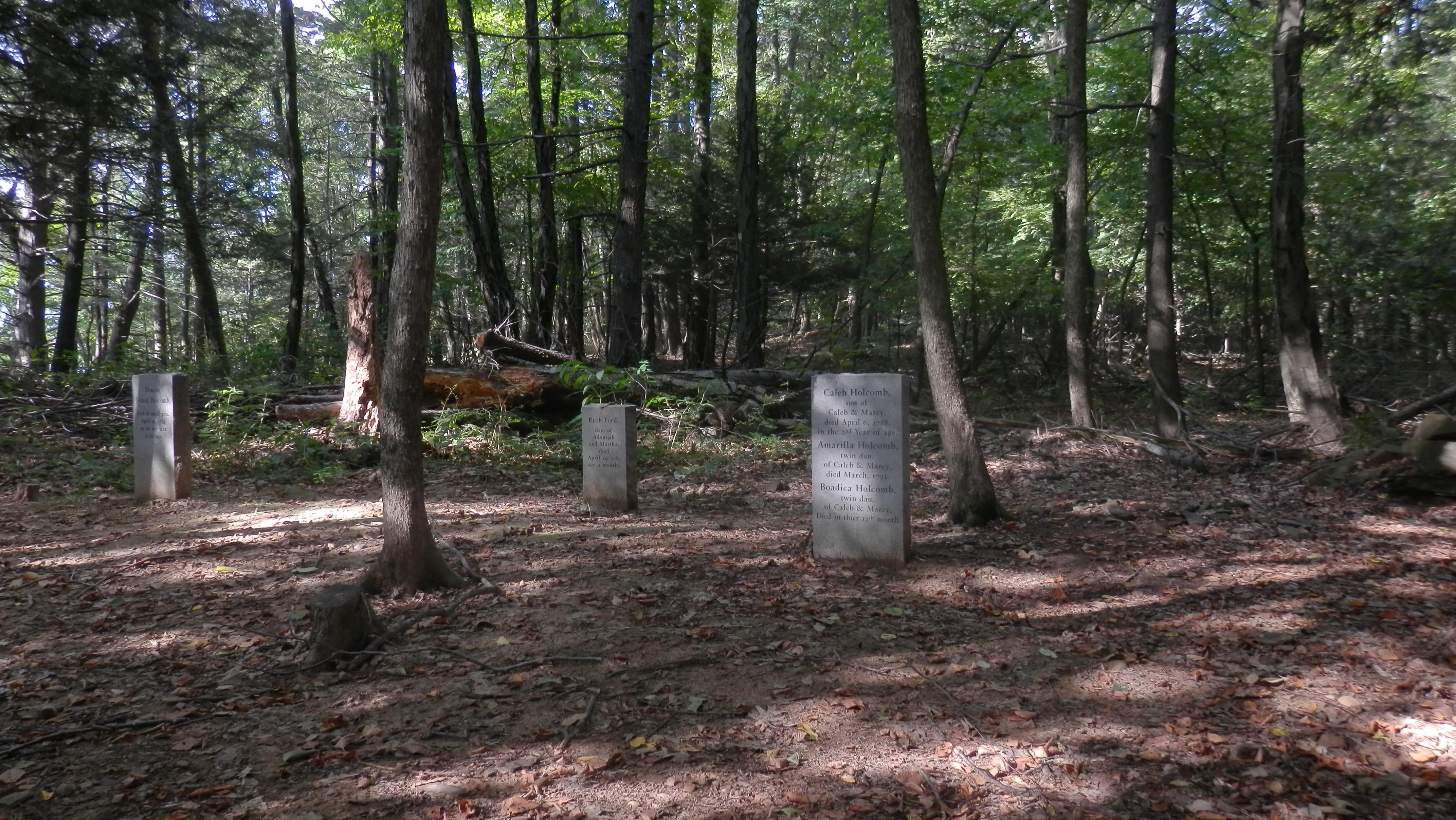 [OC] Smallpox cemetery off of a hiking trail, East Granby, CT. The