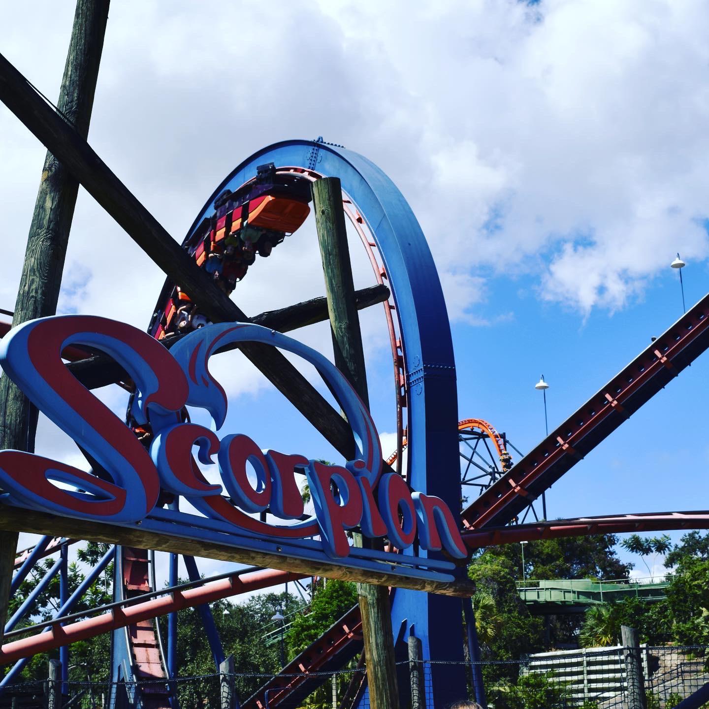 List 99+ Wallpaper Busch Gardens Tampa Bay Photos Sharp