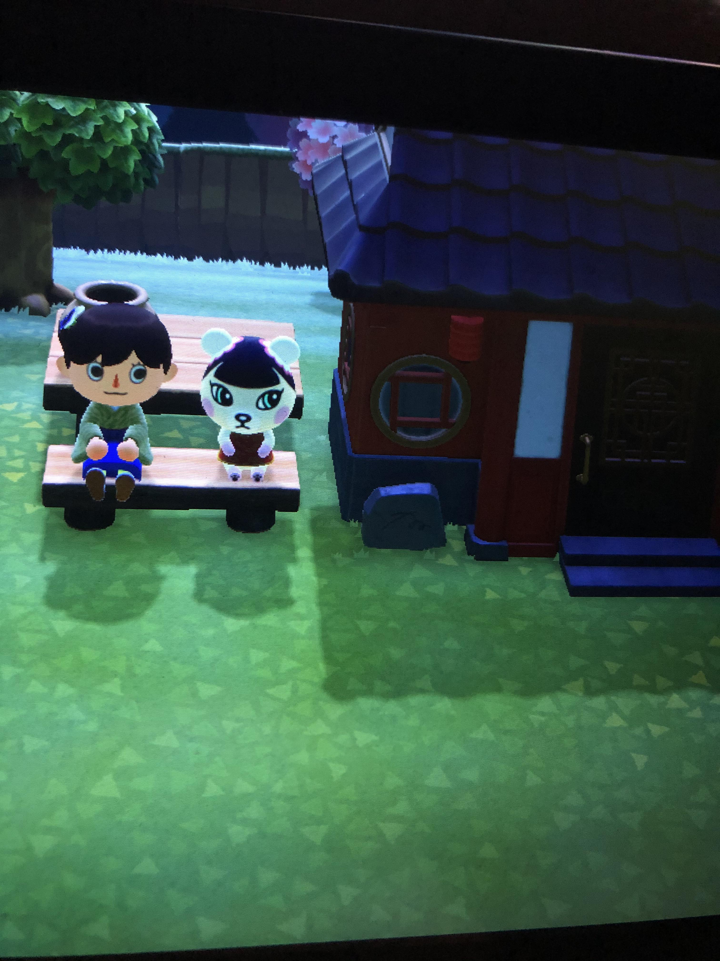 Pekoe Animal Crossing House Pekoe S House May Be My Favourite Villager House Animalcrossing