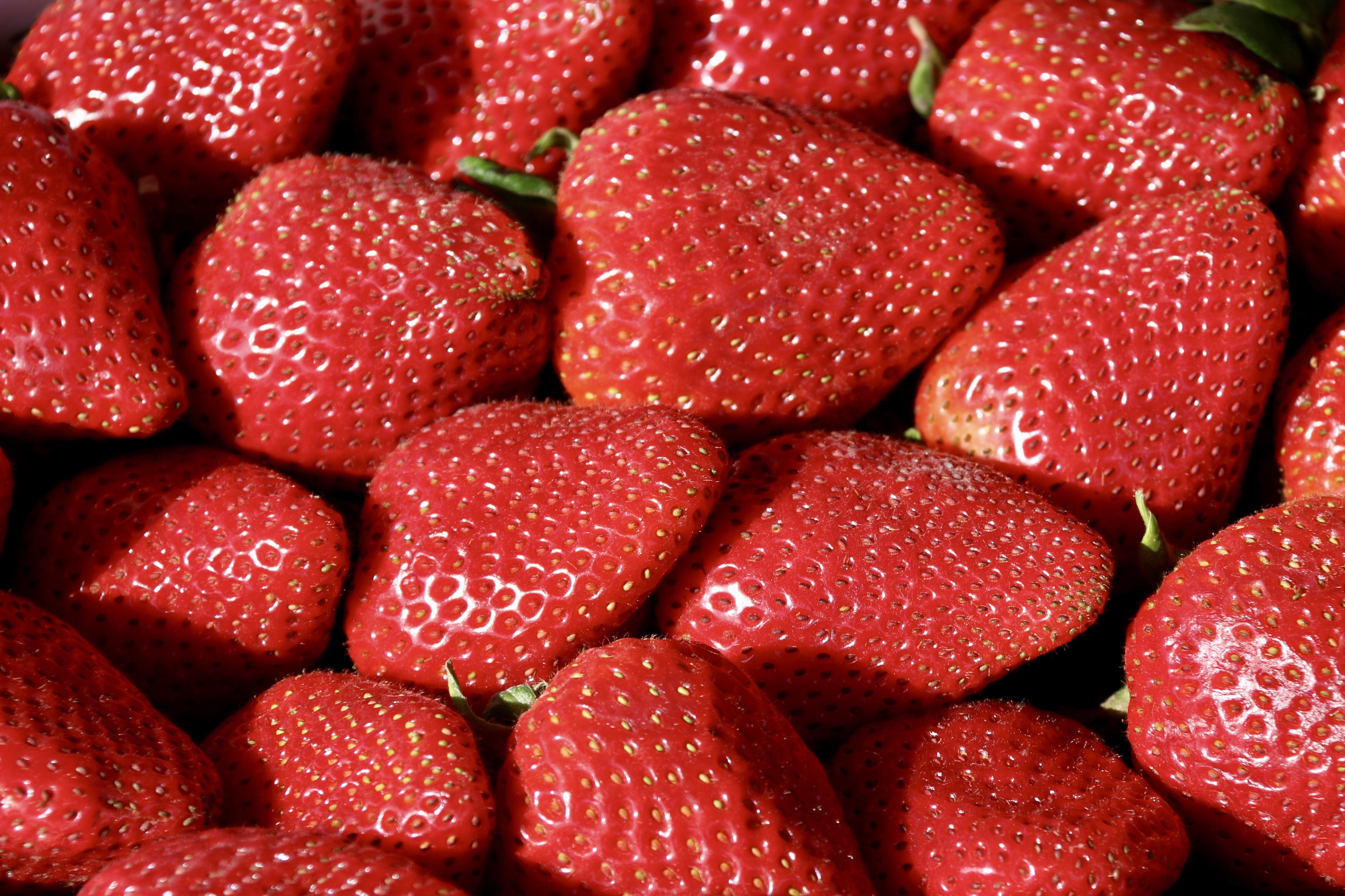 California Strawberries [OC] [OS] [2272x1704] r/FoodPorn