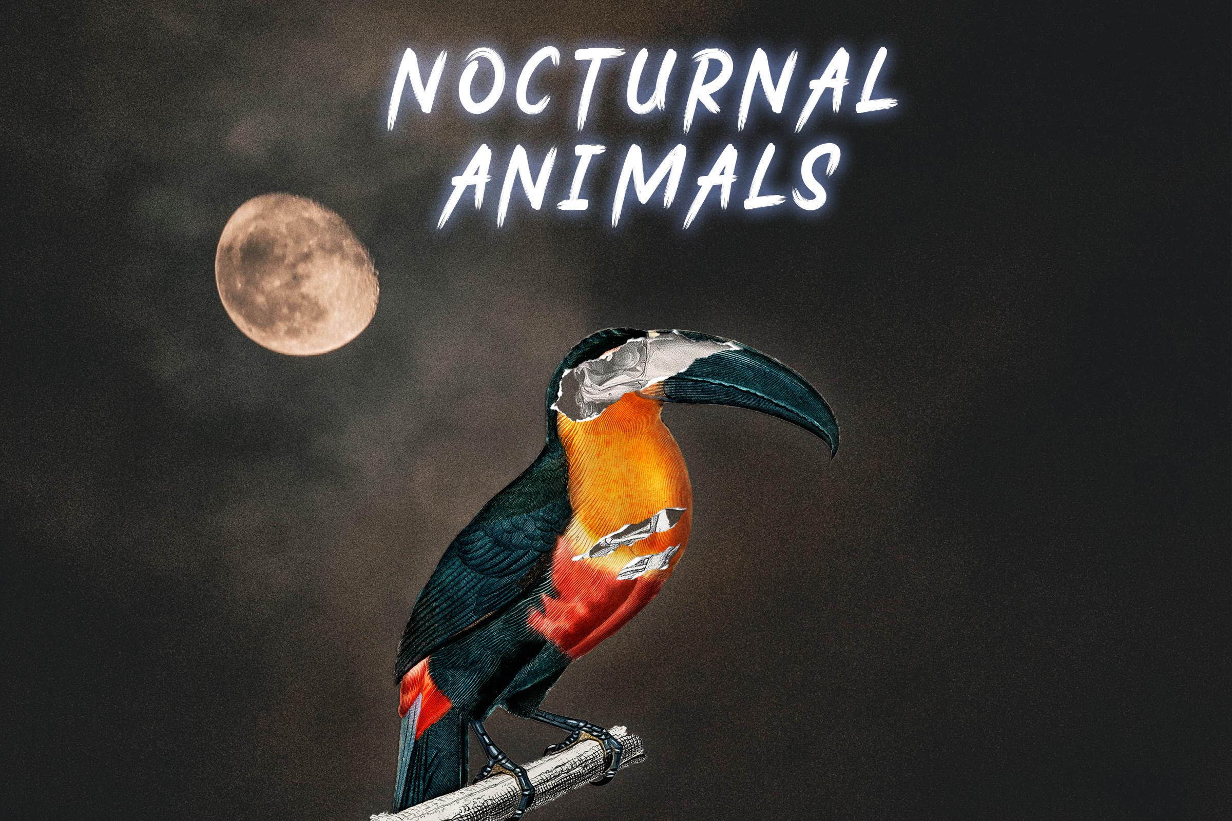 Announced the third drop "Nocturnal Animals" , coming October