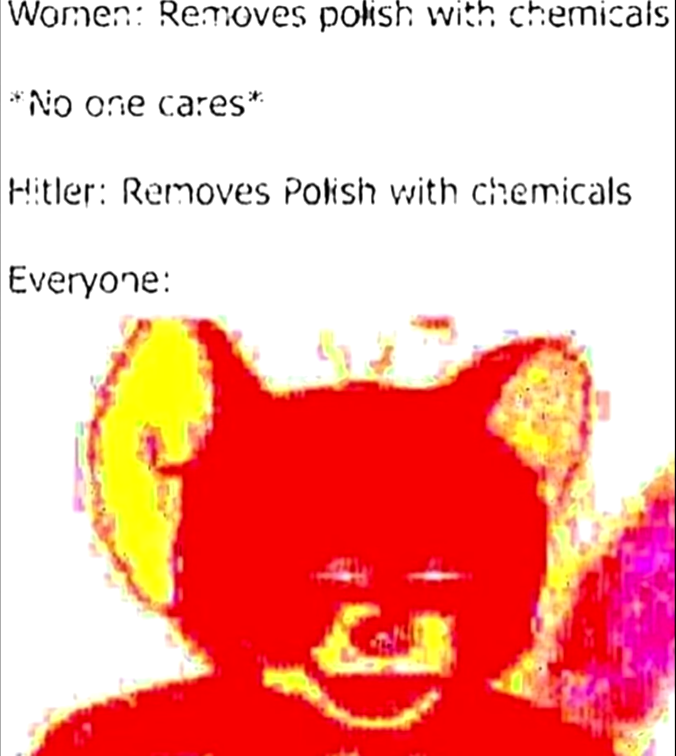 Polish vs polish : r/HistoryMemes