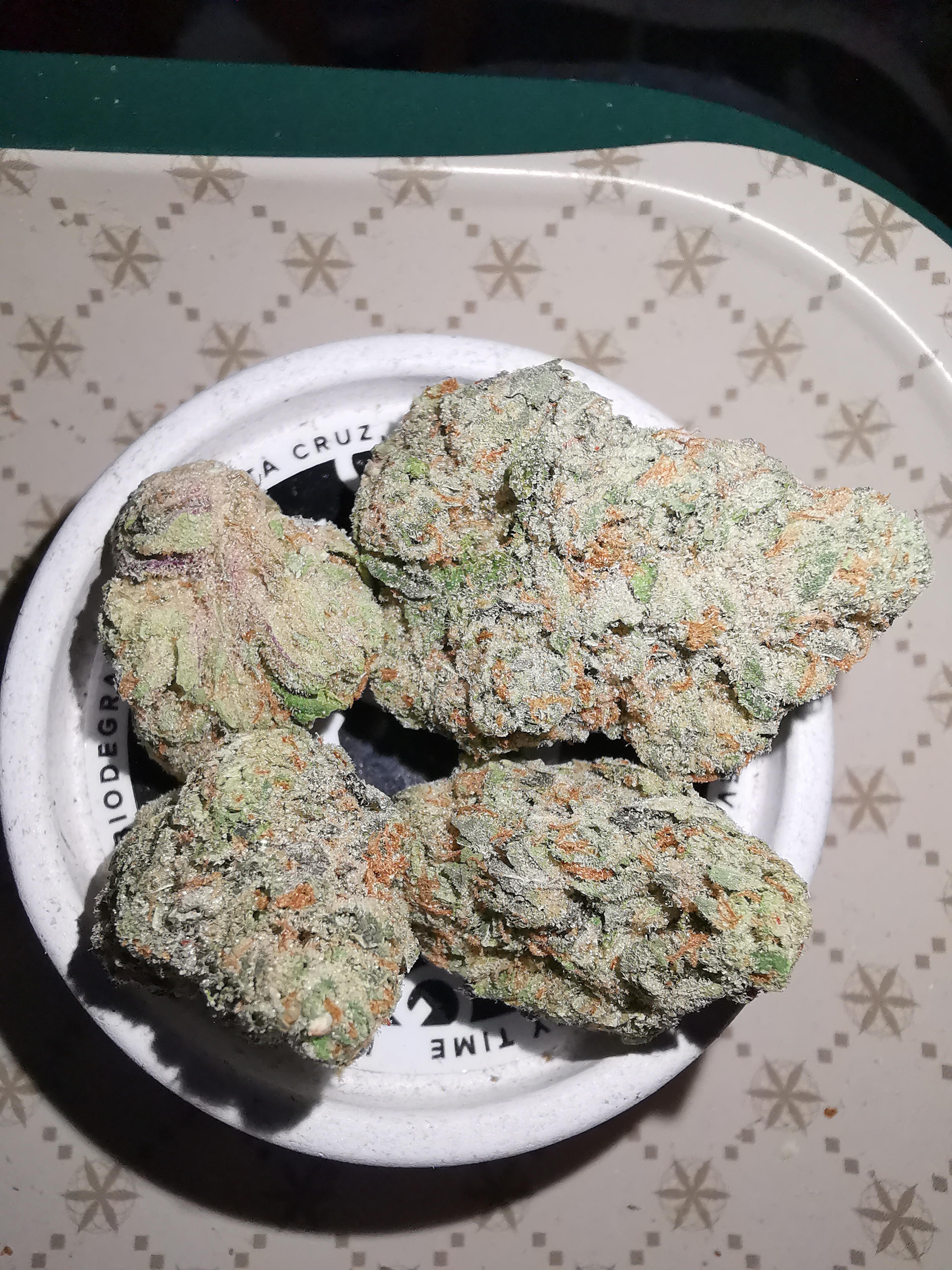 Yellow Zushi r/uktrees