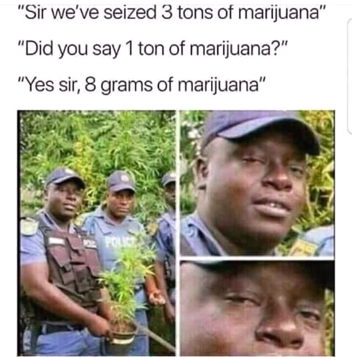 Marijuana Makes You Good. memes