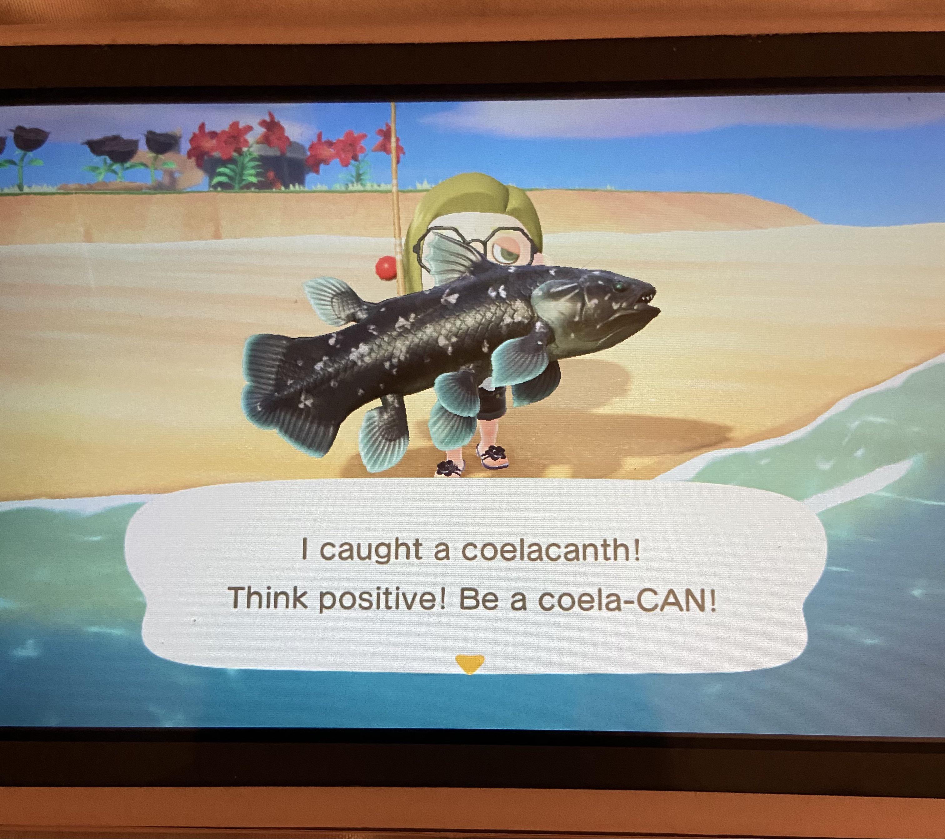 what the hell man? I needed a sea bass to get the nook miles for the