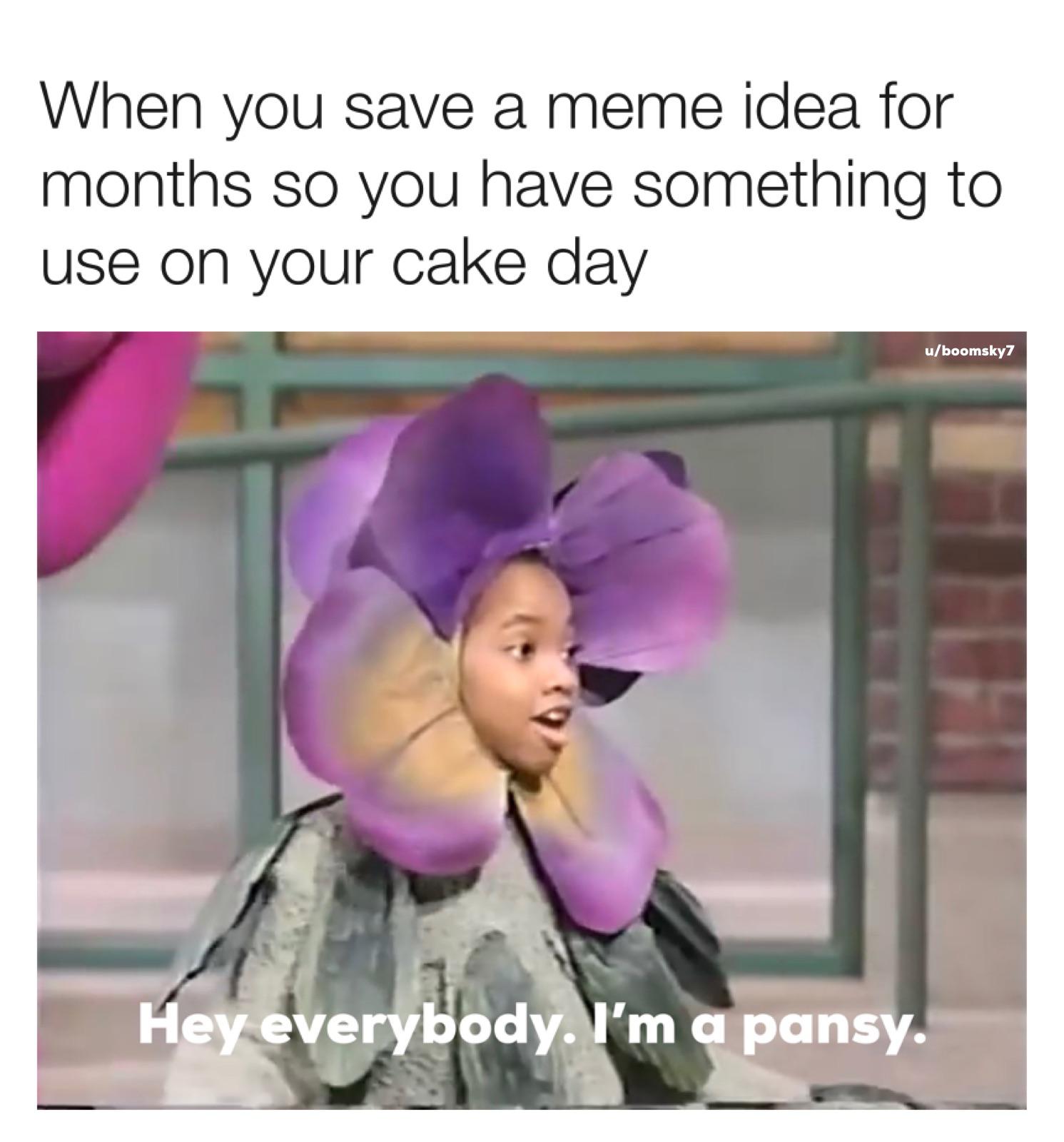 Hey everybody. I’m a pansy. r/MemeTemplatesOfficial