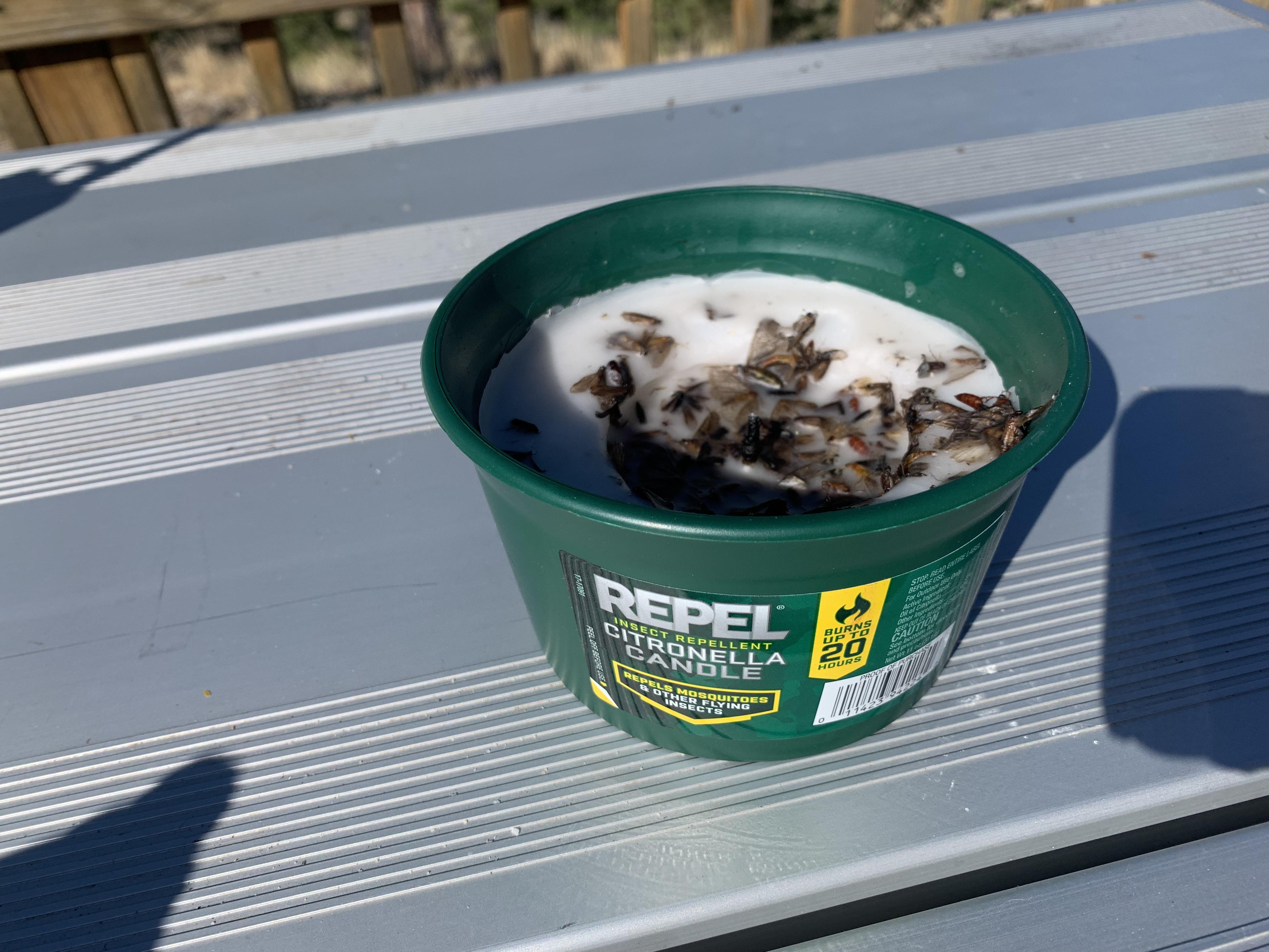 This insect repellent candle definitely does not repel insects r