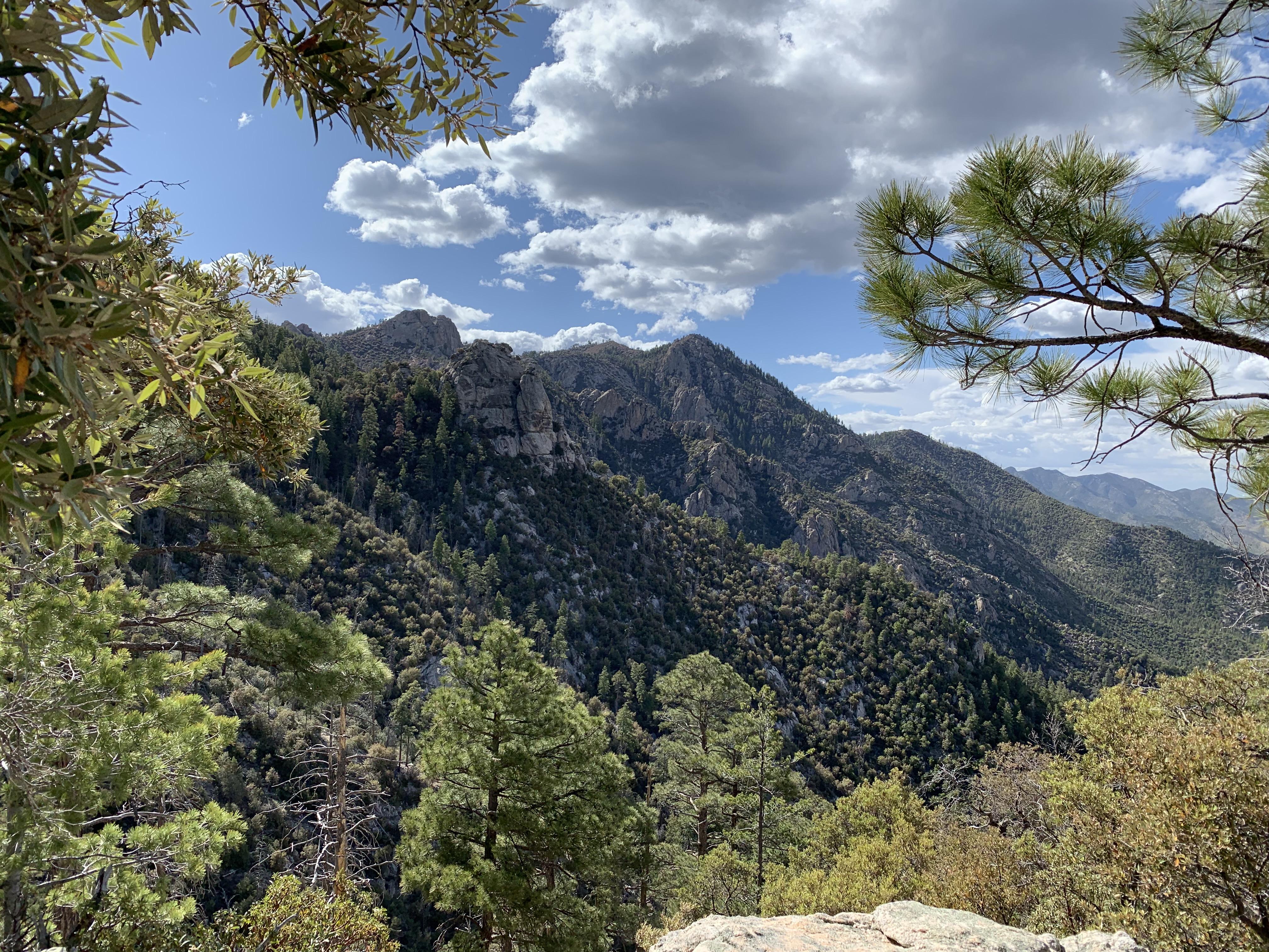 Green Mountain Trail, Mount Lemmon, AZ, USA r/hiking